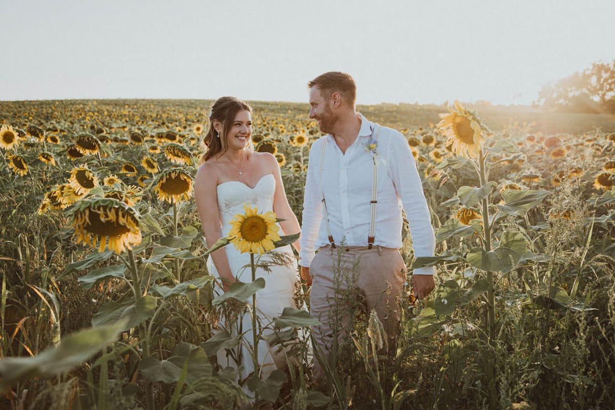 Bride with single sunflower and groom in suspenders walk through sunflower field at golden hour