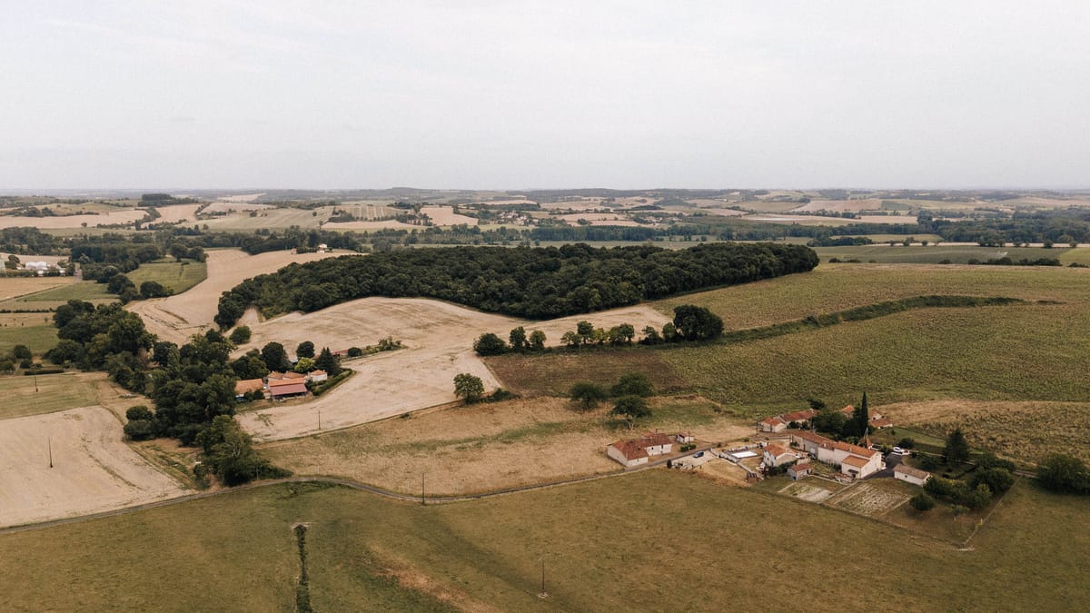 Aerial countryside view of white farmstead clusters among rolling fields, vineyards, and woodland