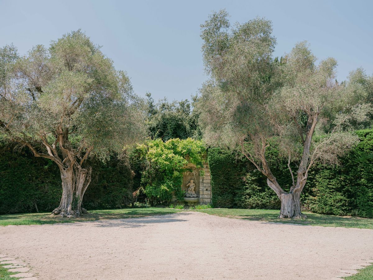Two mature olive trees flanking gravel courtyard with classical stone fountain niche beyond