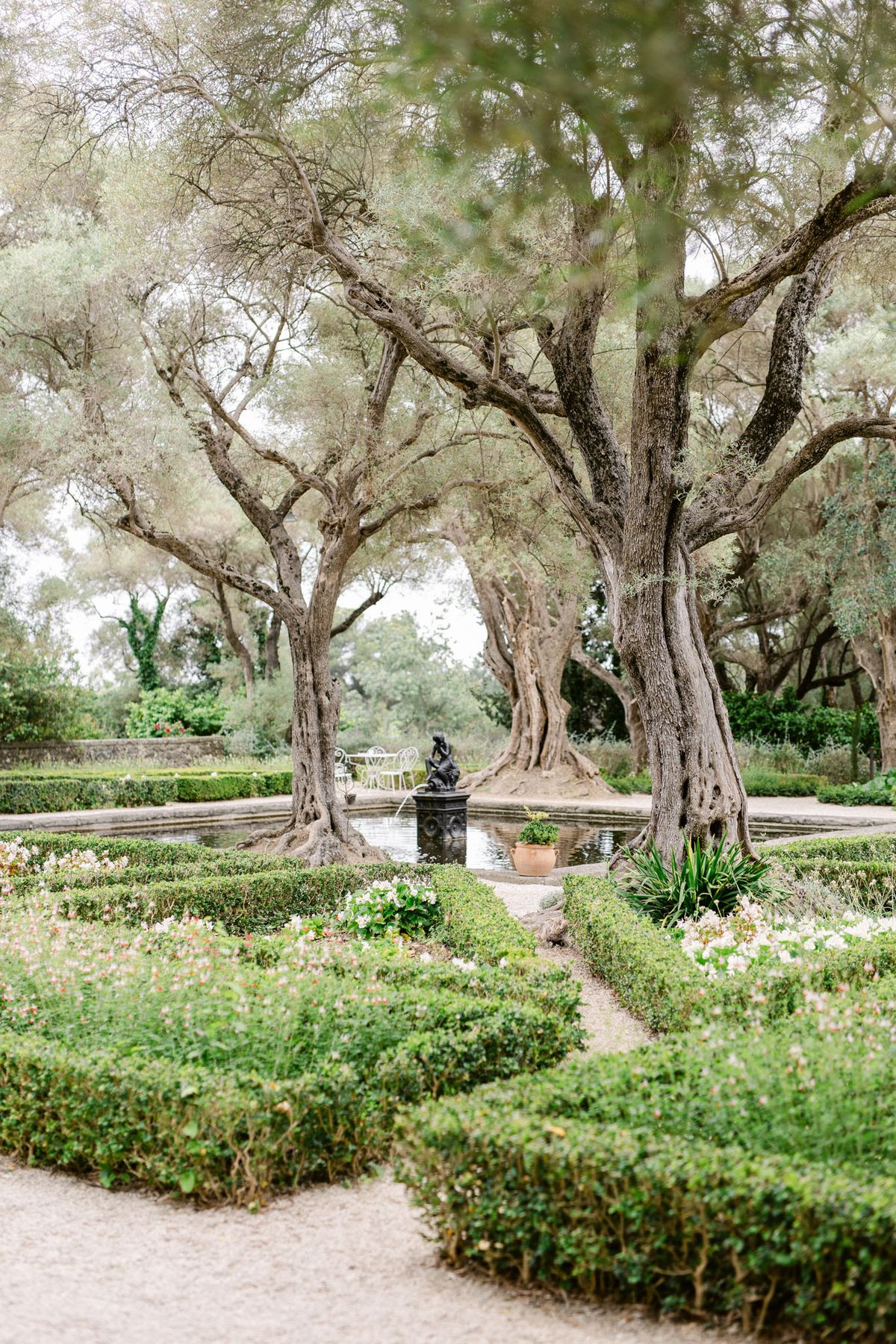 Wedding rings in a garden with white roses