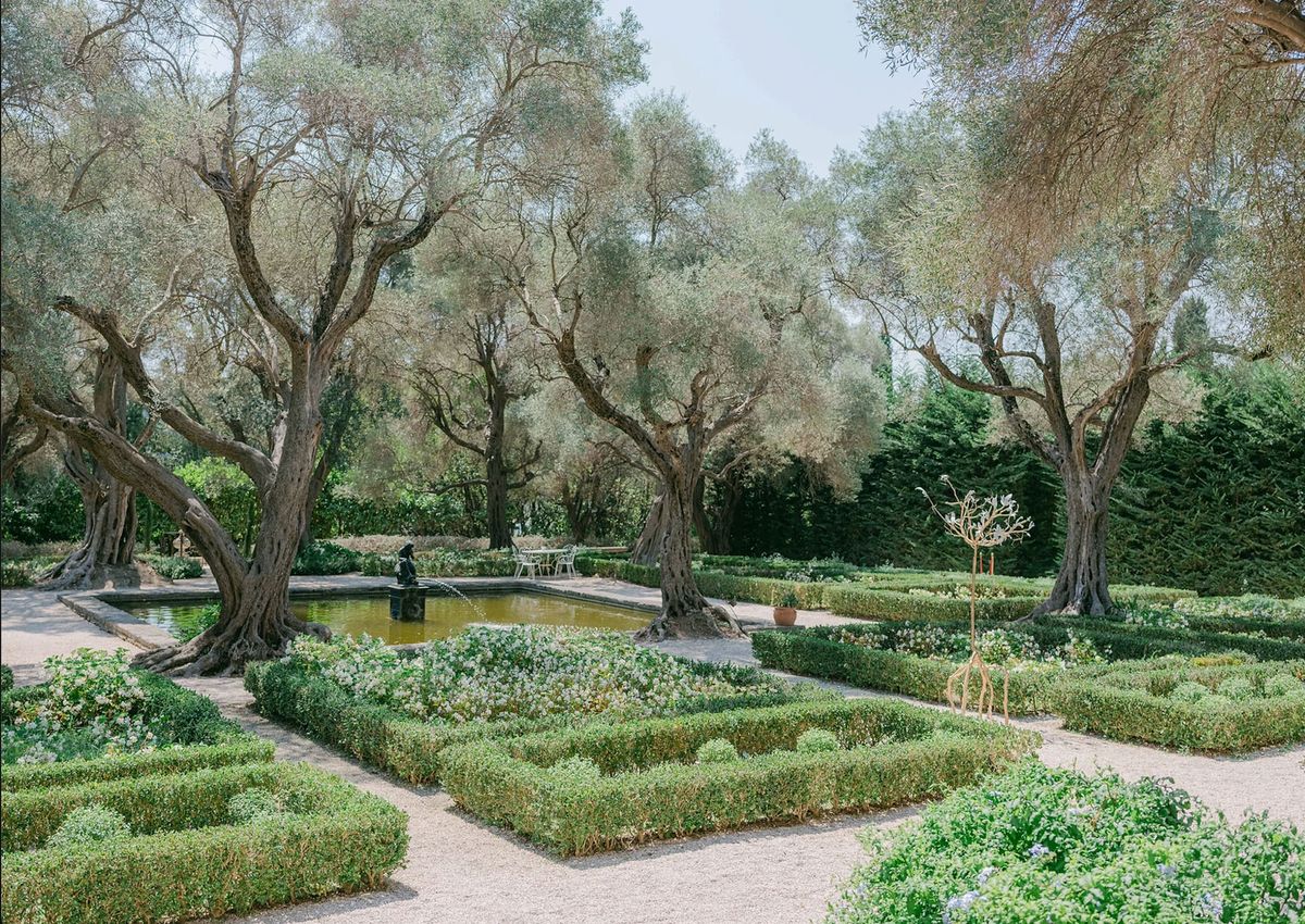 Formal French parterre garden with clipped boxwood hedges, reflecting pool, olive trees, and gravel pathways