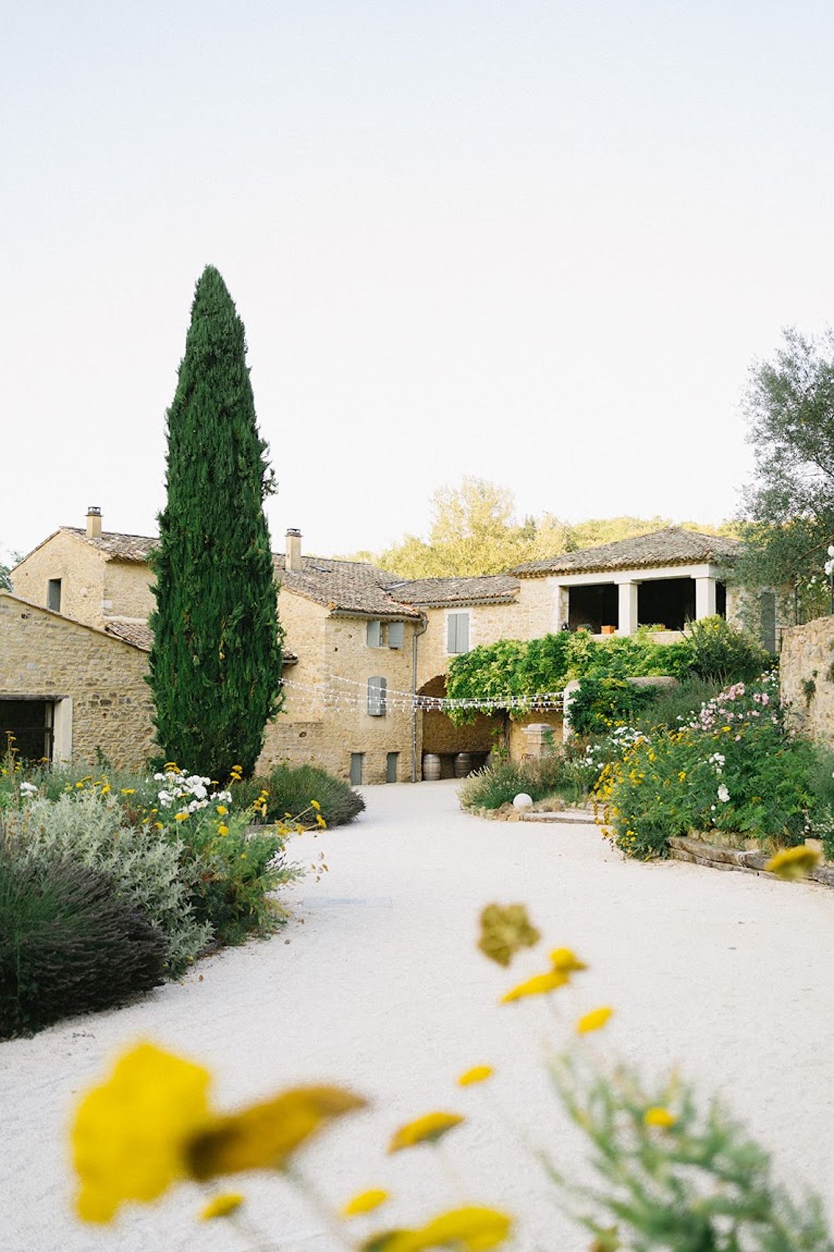 Provencal stone farmhouse with vine-draped terrace string lights and cypress tree on gravel courtyard