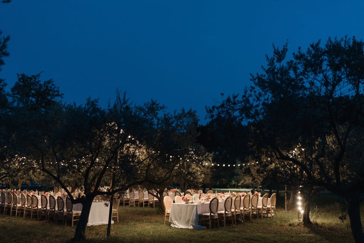 Olive grove reception at dusk with festoon-lit banquet tables gold chairs and coral centerpieces
