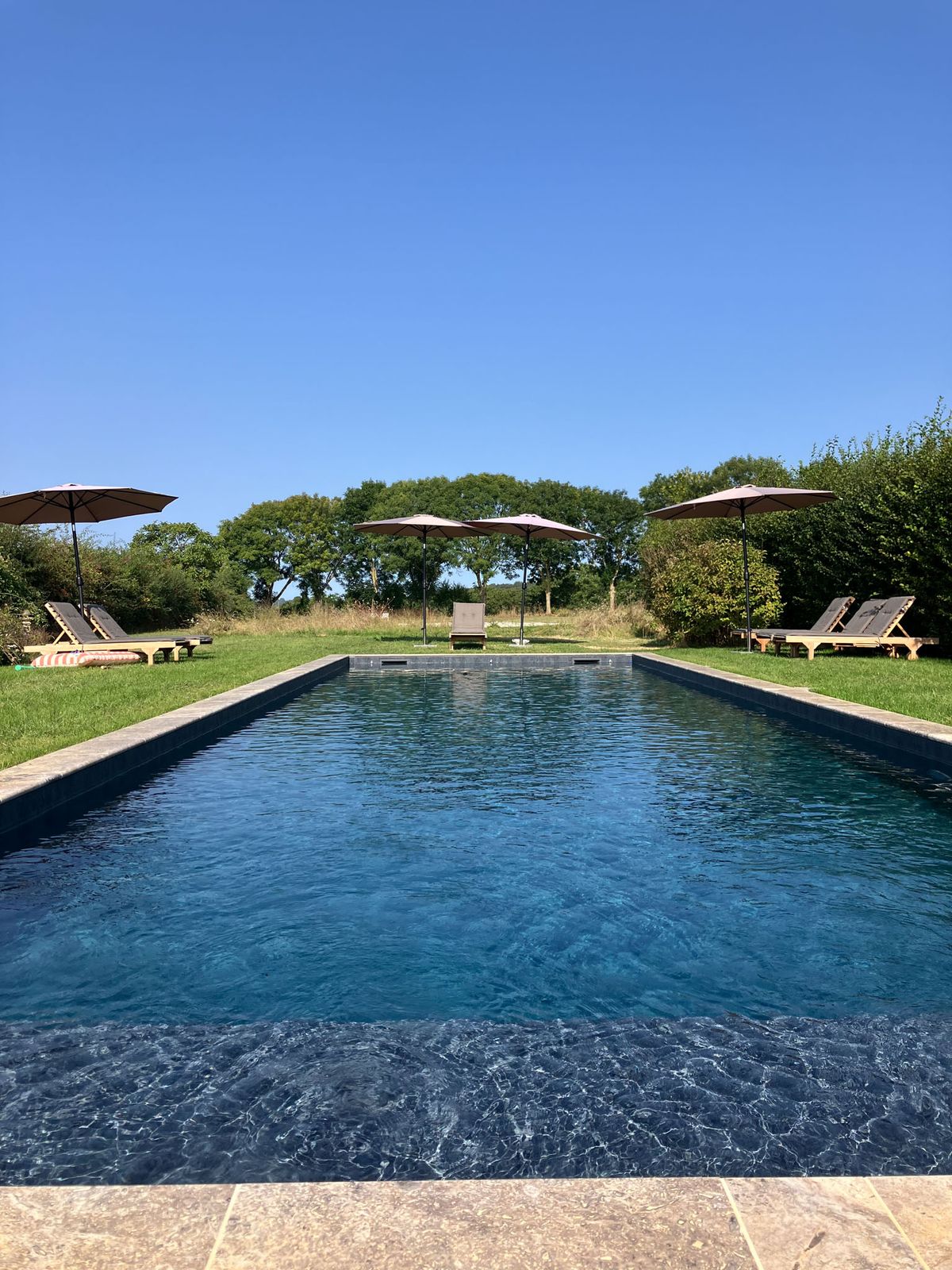 Dark-lined rectangular pool with taupe market umbrellas and grey loungers on surrounding lawn from ground level