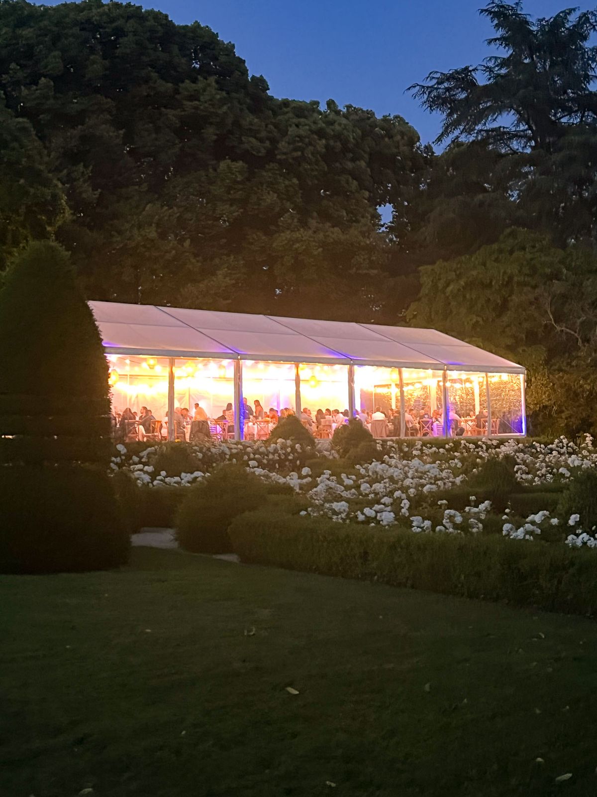Glass-panelled marquee lit with amber string lights and blue uplighting in formal garden at dusk