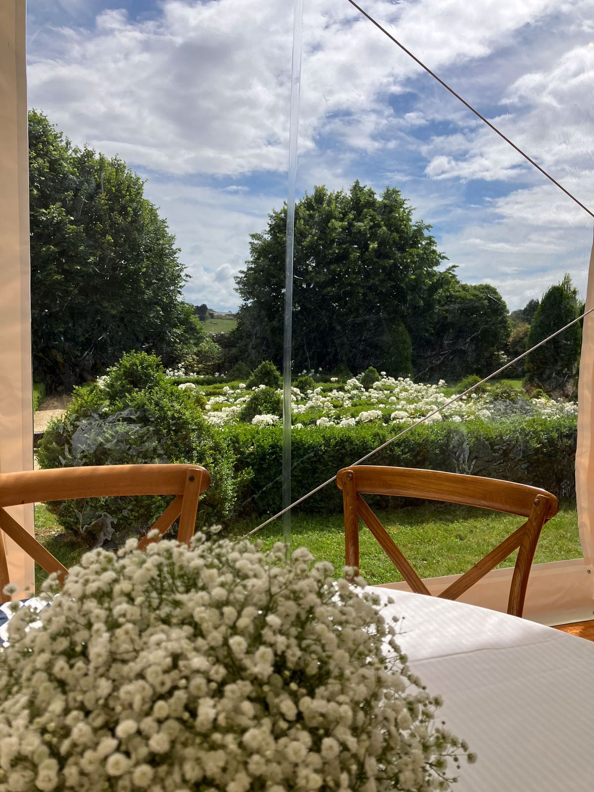 Voluminous baby's breath centerpiece with cross-back chairs inside clear-sided tent facing hedged garden