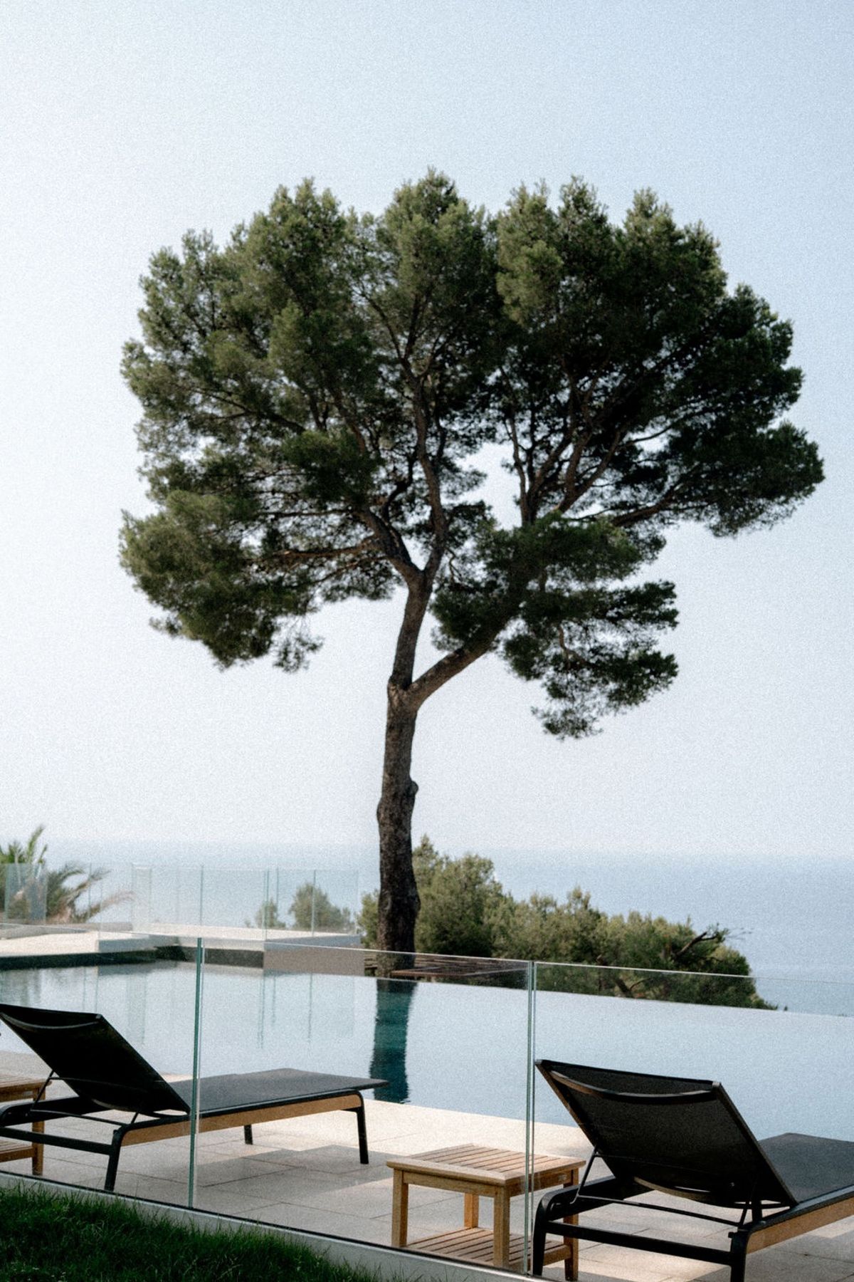 Umbrella pine tree overlooking infinity pool and ocean at Domaine Rocabella, French Riviera