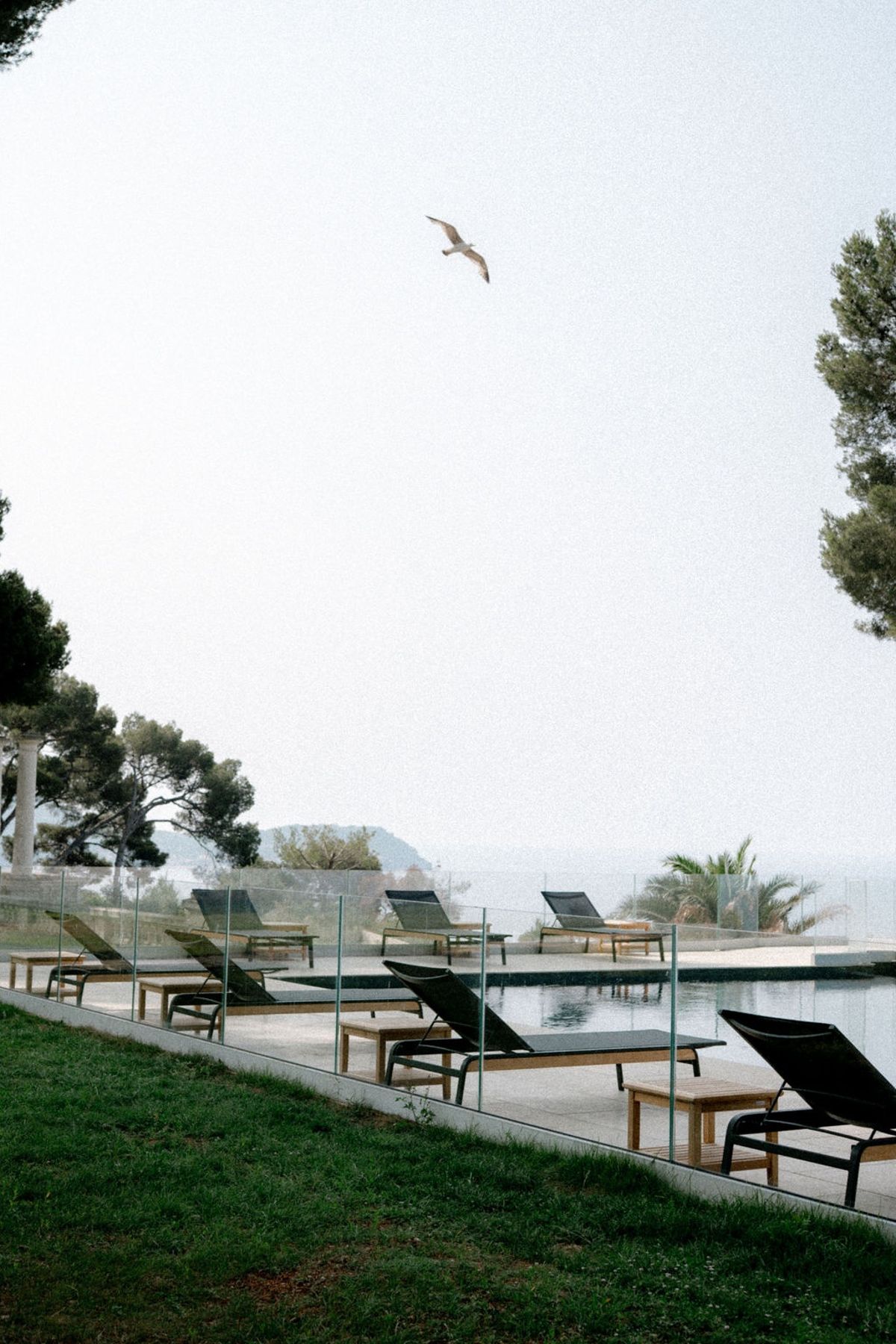 Poolside loungers with misty sea view and seagull at Domaine Rocabella, French Riviera