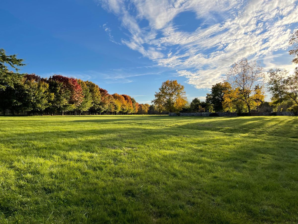Wide view of open lawn and grounds at a French chateau estate with stone wall and treeline