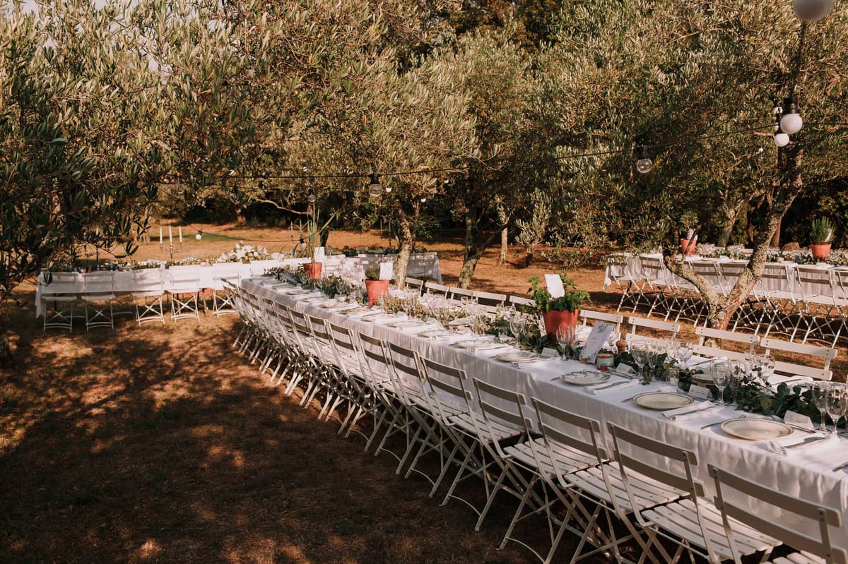 Banquet tables under olive trees with greenery garlands, terracotta pots, and globe string lights