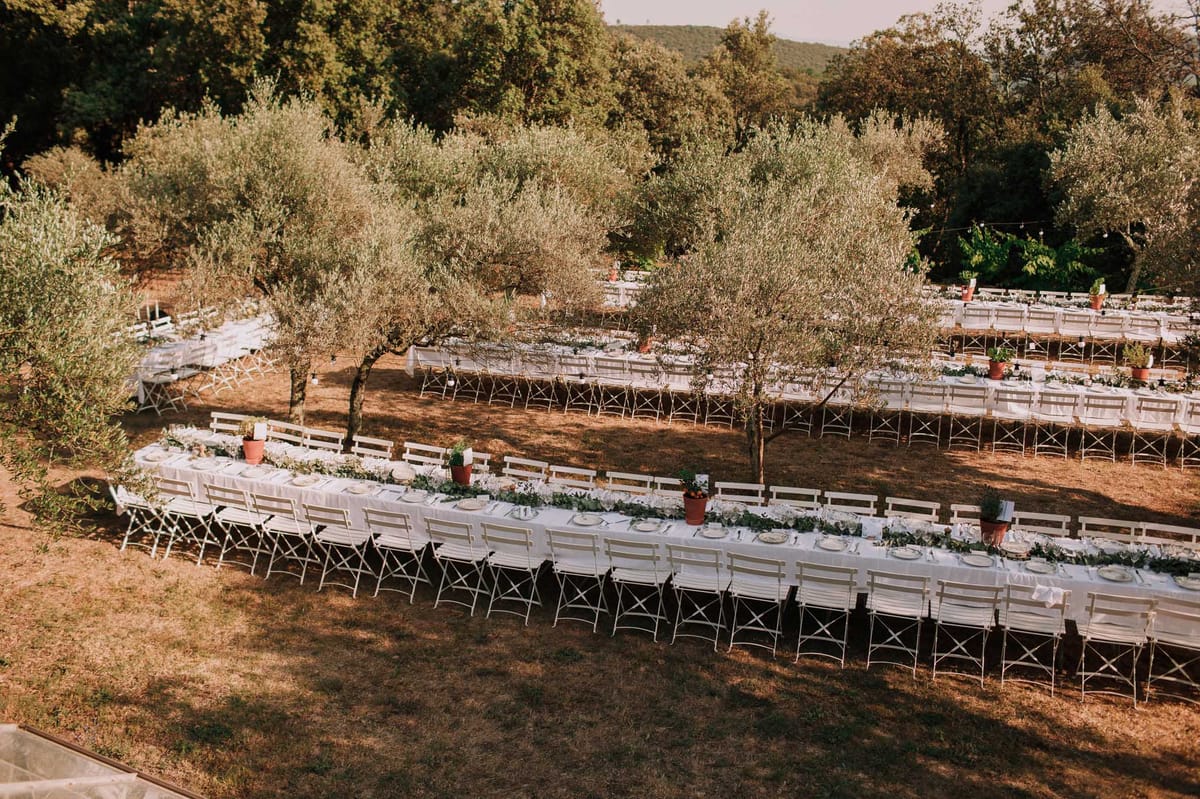 Banquet tables under olive trees with greenery runners, terracotta pots, and white cross-back chairs