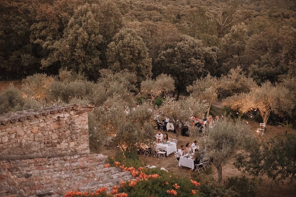Aerial view of outdoor wedding dinner in an olive grove at dusk with fairy lights wrapped around trees