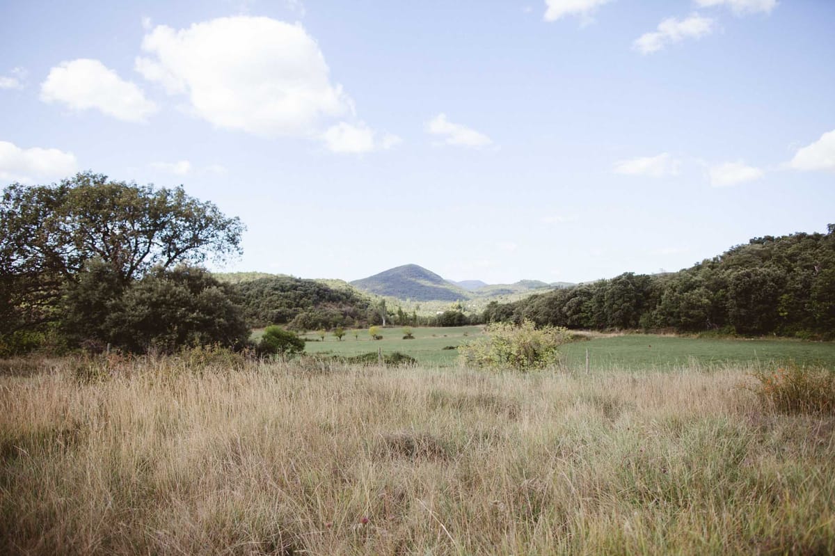 Rural landscape with golden meadow grass and wooded hillsides surrounding venue grounds