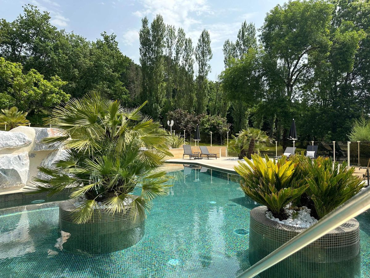 Freeform teal pool with palm-tree planters, rock water feature, and dark loungers at French venue