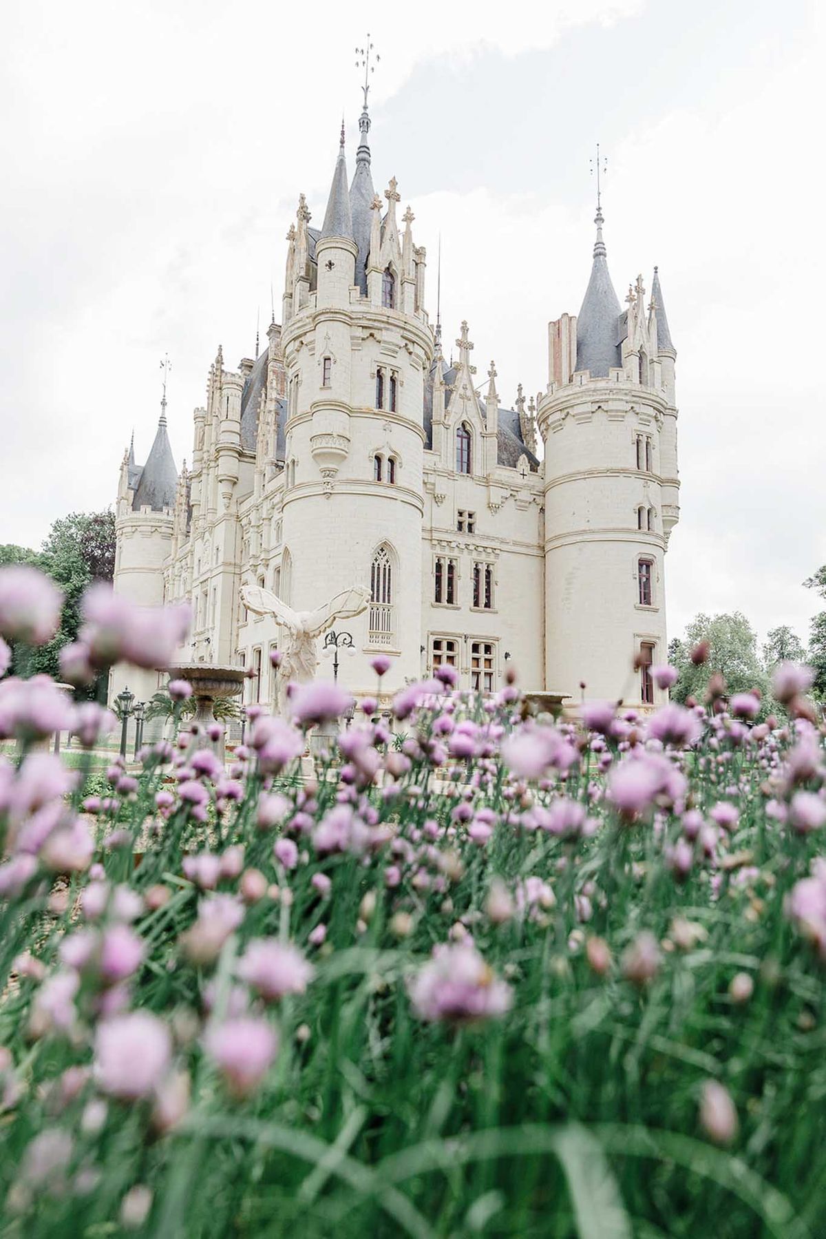 Cream stone chateau with Gothic turrets and spires viewed through soft-focus lavender-pink wildflowers with bird fountain