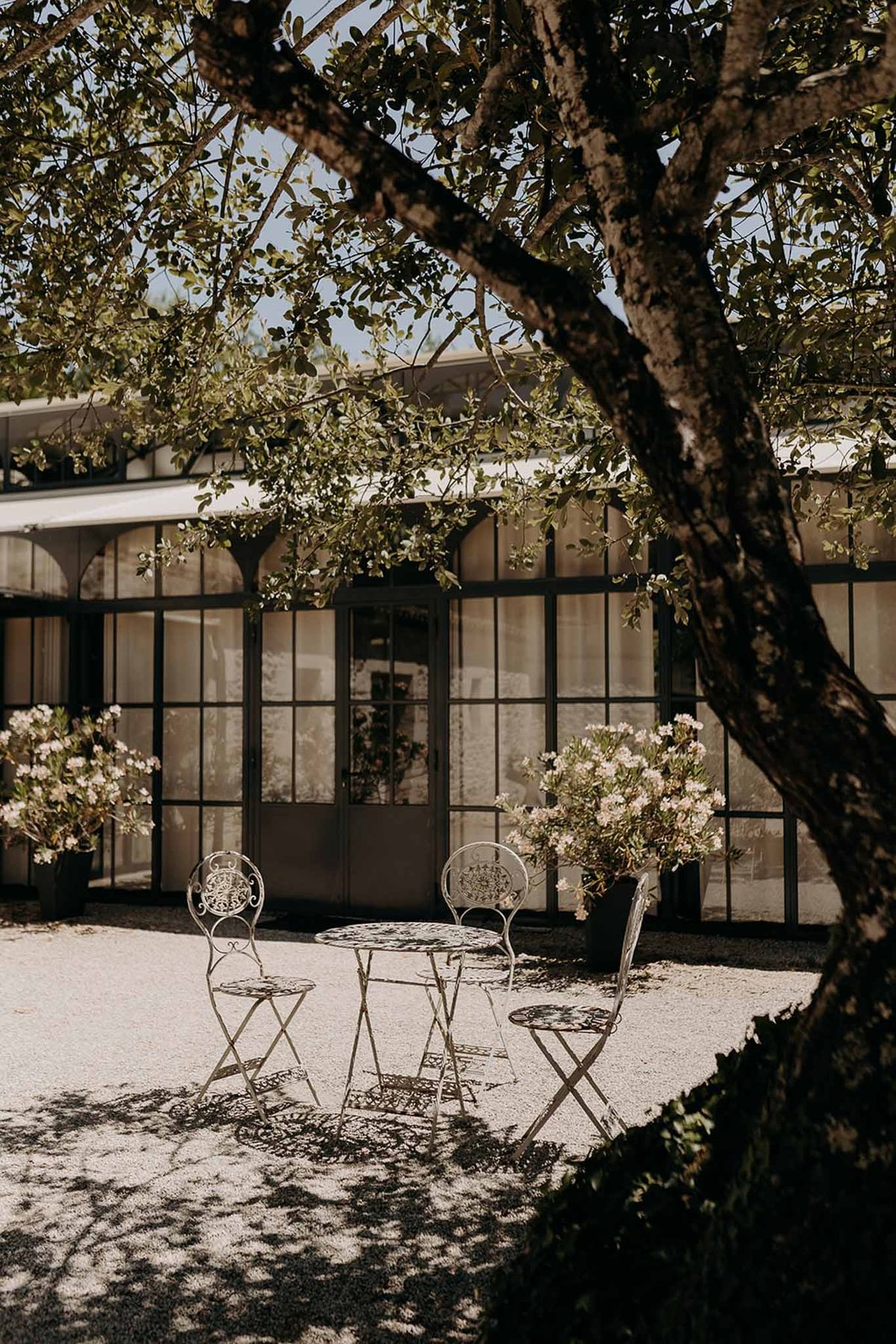 Vintage bistro chairs under tree at Domaine de la Fauconnie