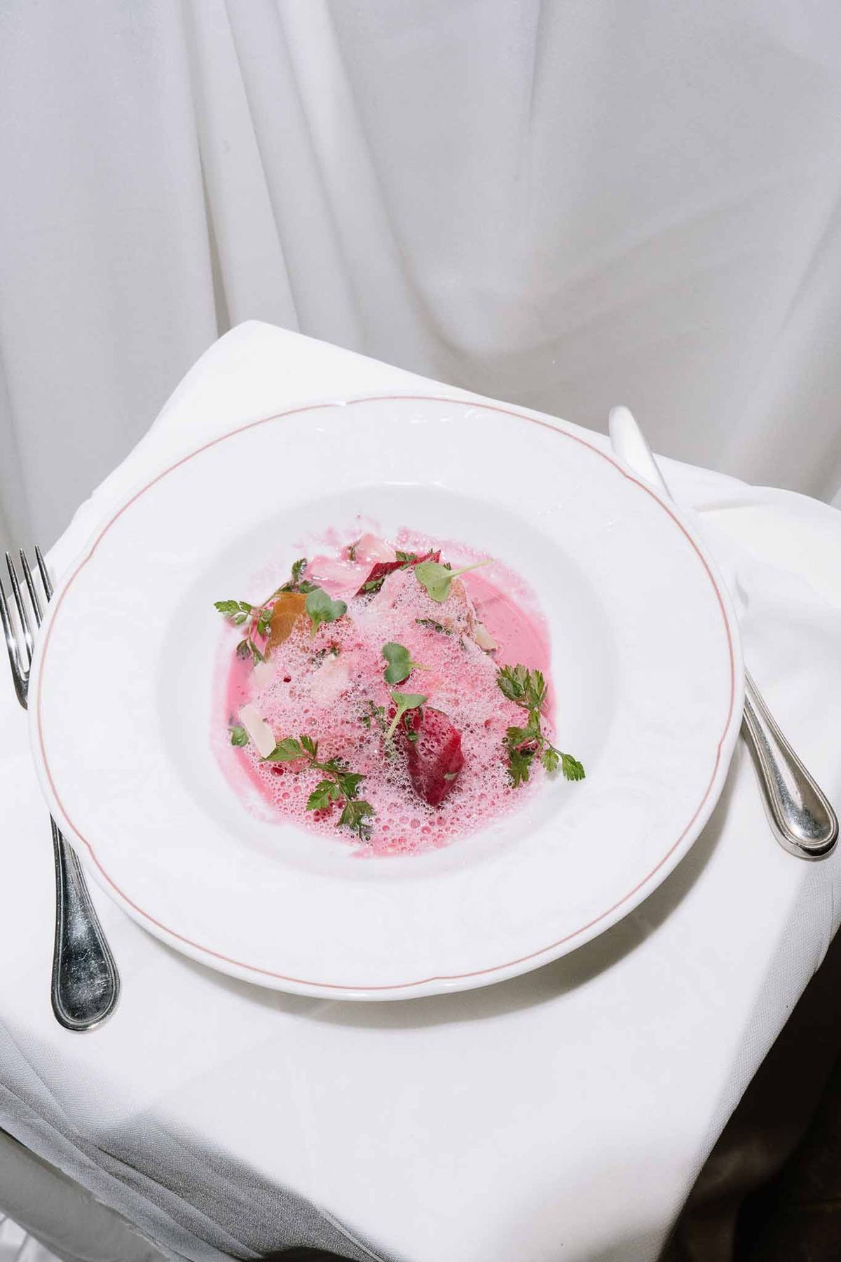 Pink beetroot broth starter with herb garnish on white plate with rose-pink rim