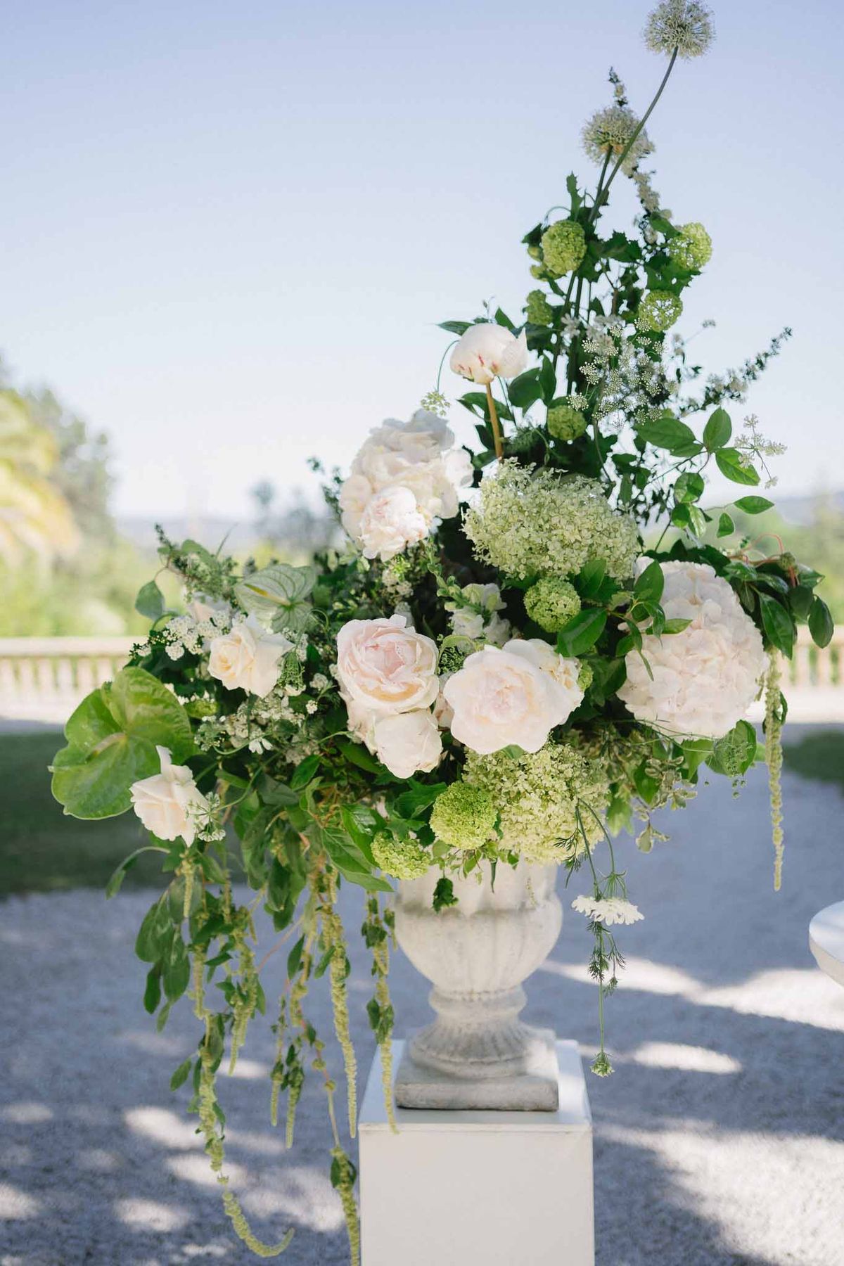 Wedding ceremony in a garden with white roses