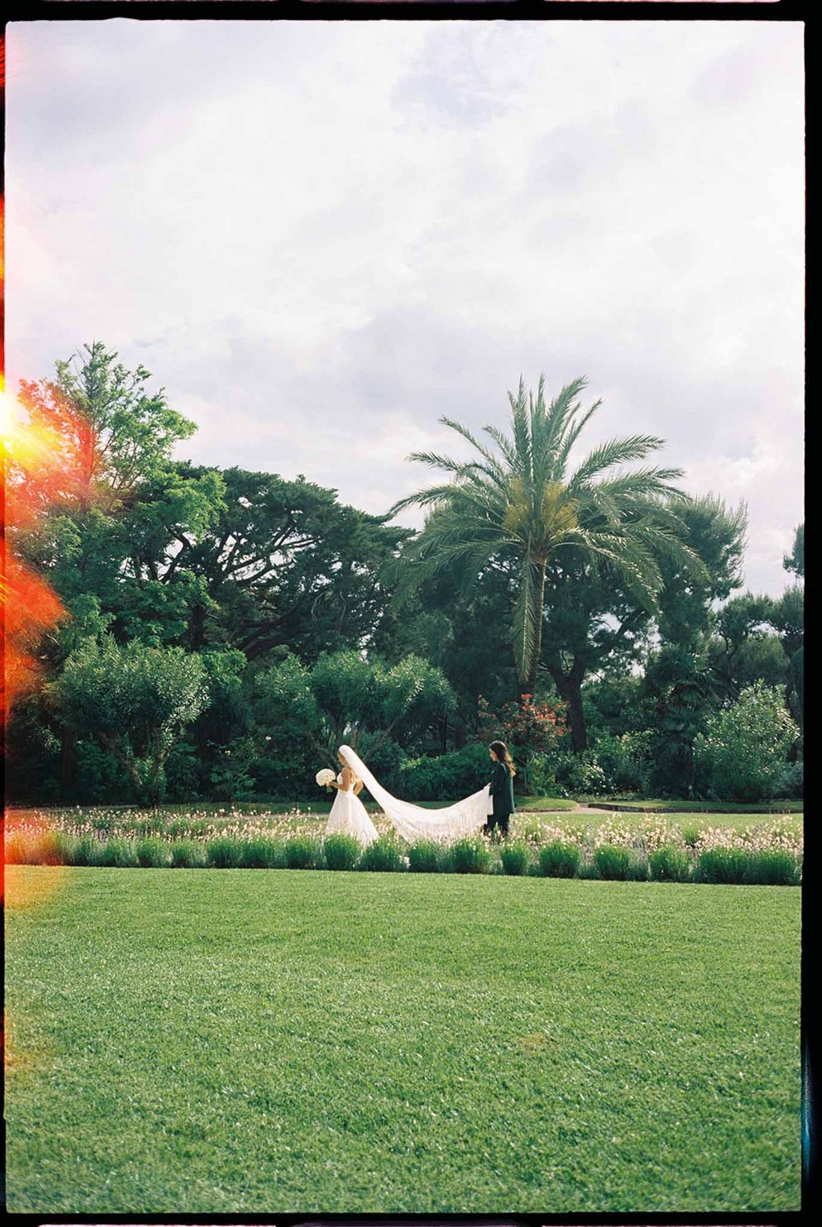 Bride with cathedral veil carried by attendant crossing formal garden with palm tree on film with lens flare