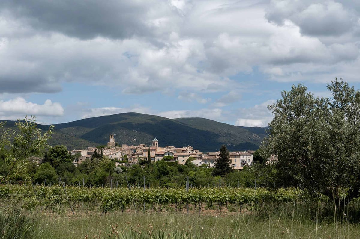Exterior of at a vineyard