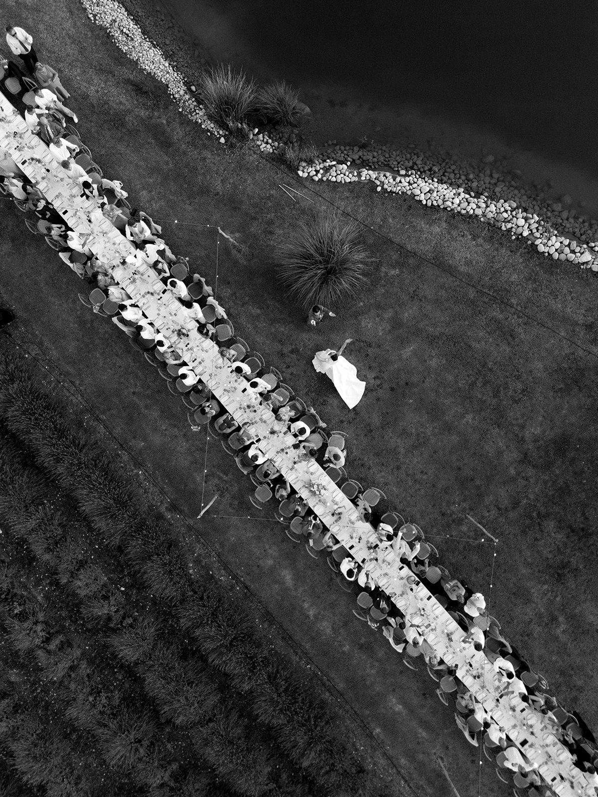 Aerial of long banquet beside lavender with bride's veil at Les Domaines de Patras, Provence