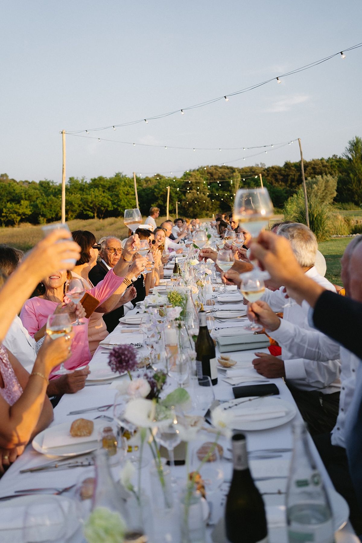 Guests raising wine glasses in toast at reception at Les Domaines de Patras, Provence