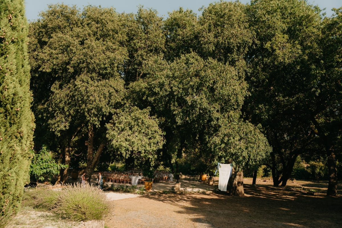 Wide view of al-fresco dining clearing under the oak grove in late afternoon golden light.