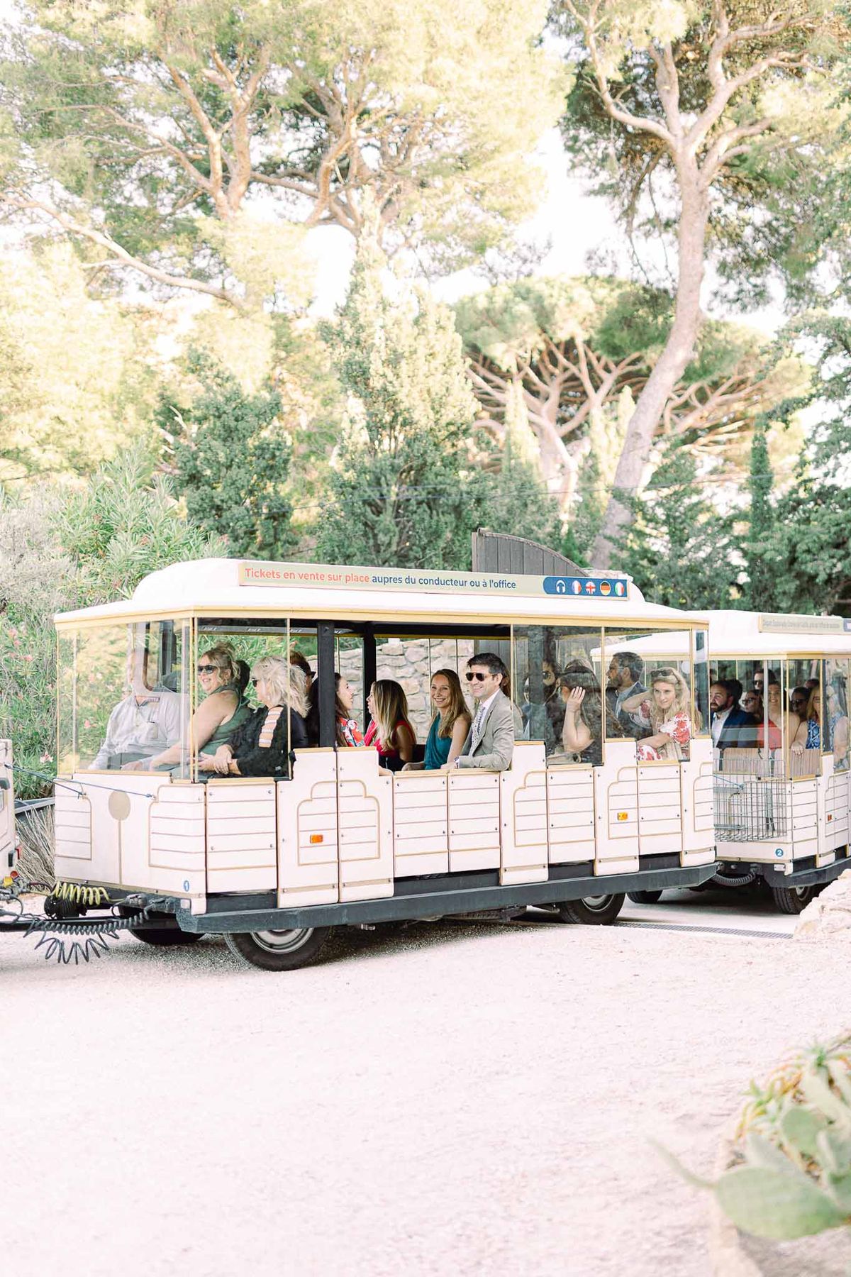 Wedding guests riding cream petit train through Mediterranean pine trees on gravel path
