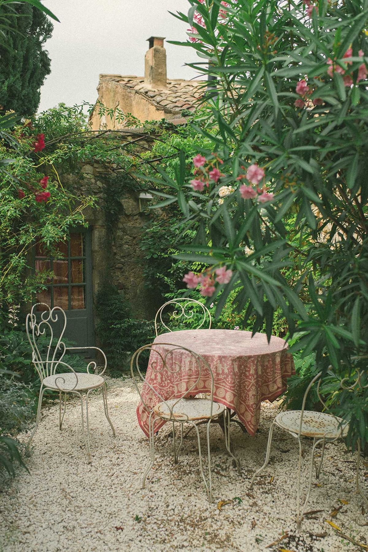 Wedding rings in a garden with white roses