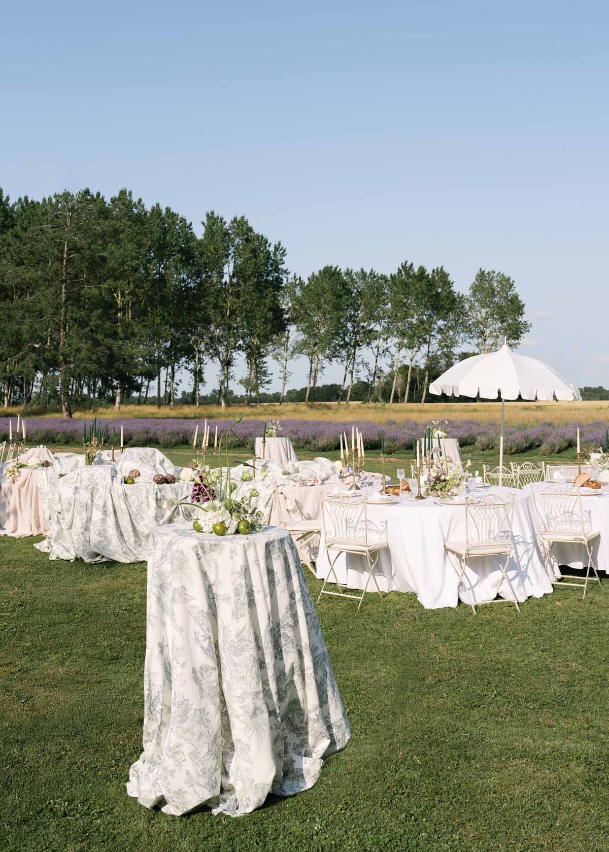 French country reception with toile tablecloths, candelabras, and fruit-flower centrepieces near lavender field