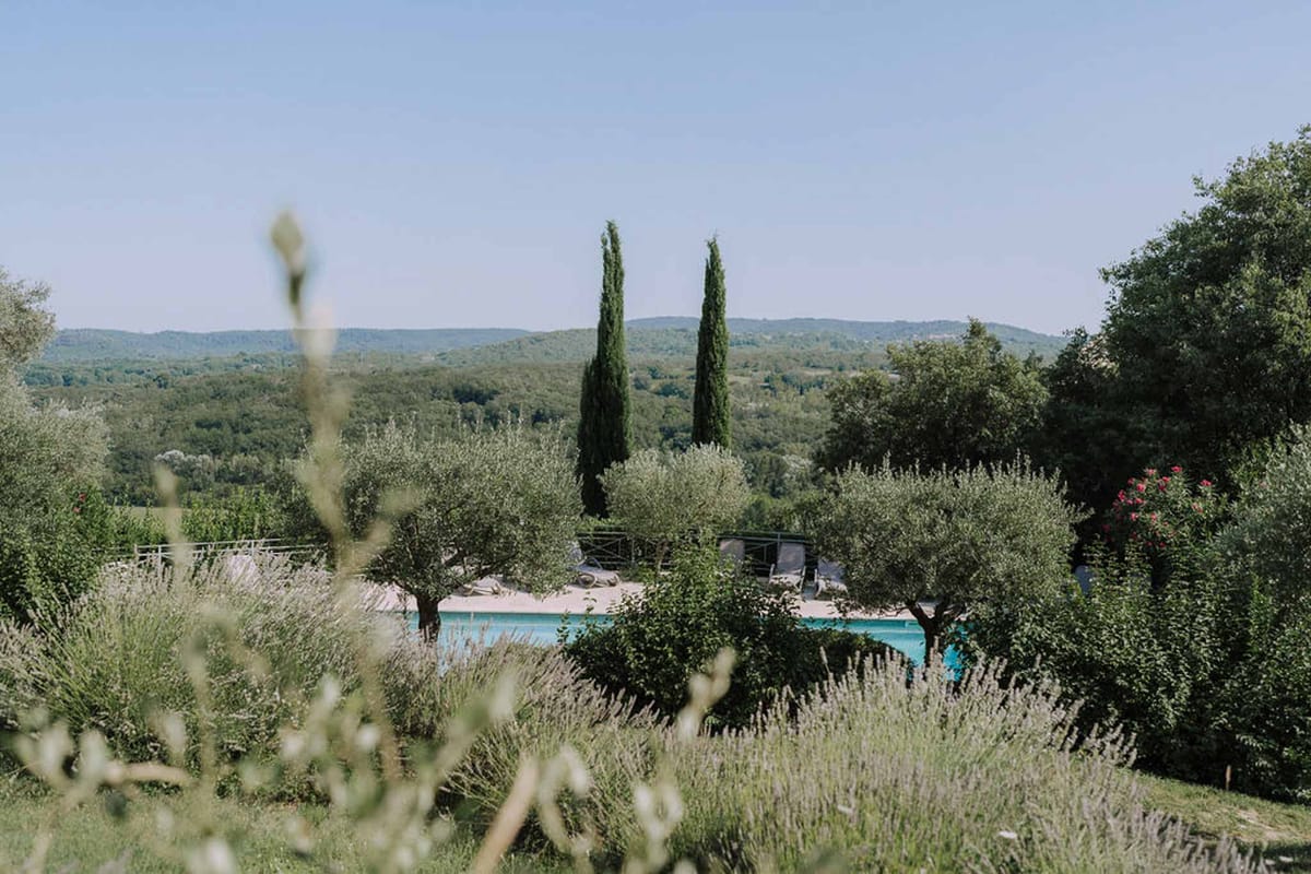 Provencal estate pool terrace with olive trees and cypress seen through soft-focus lavender foreground