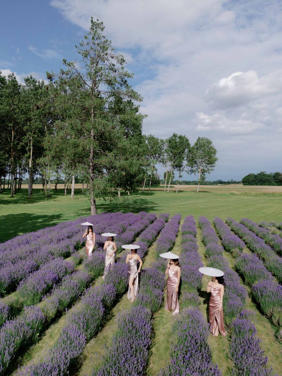 Aerial view of four bridesmaids in champagne satin dresses holding white parasols among purple lavender rows