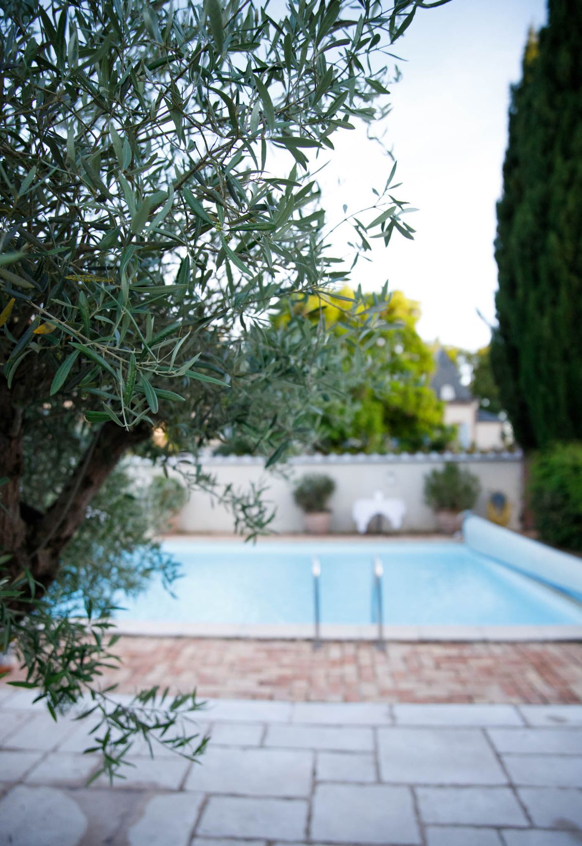 Pool terrace with terracotta potted topiaries framed by olive tree with chateau slate turret visible beyond wall