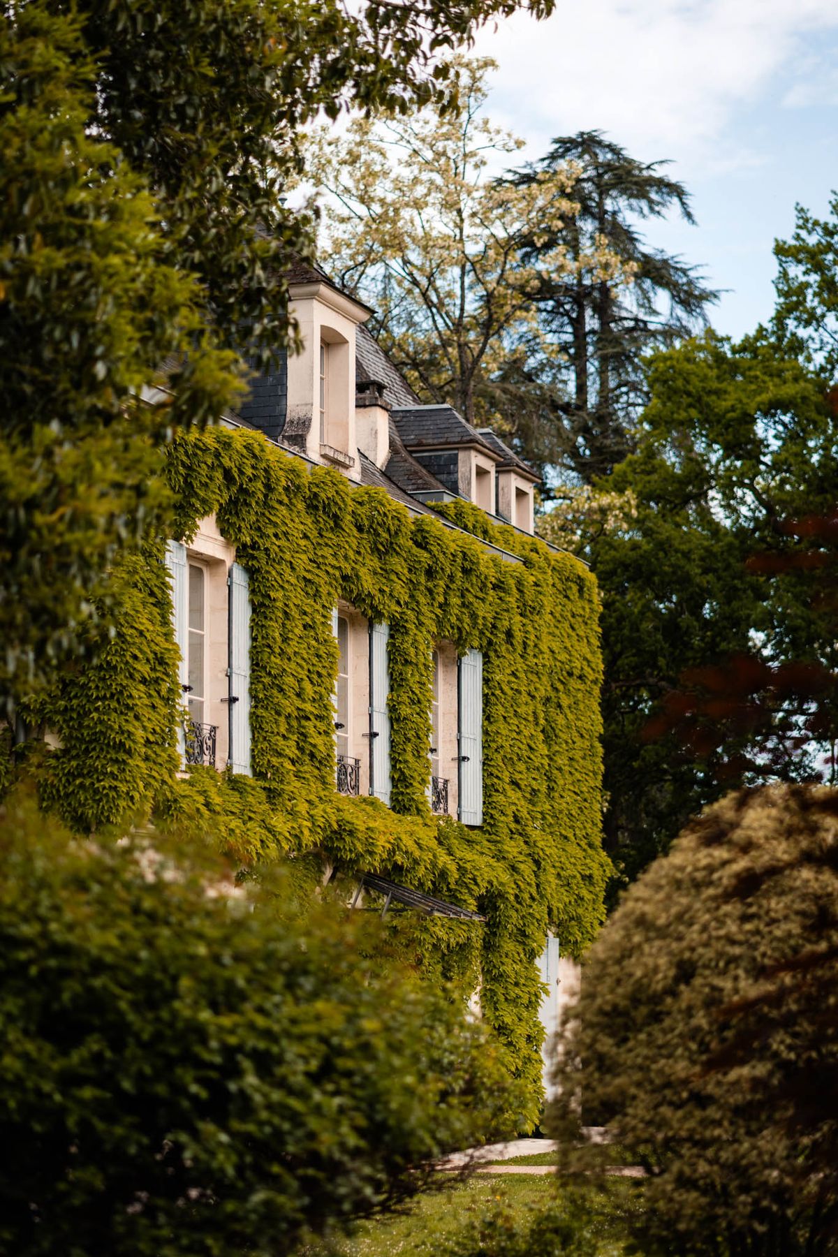 Ivy-covered chateau with cream stone, blue-grey shutters, and slate mansard roof through hedges
