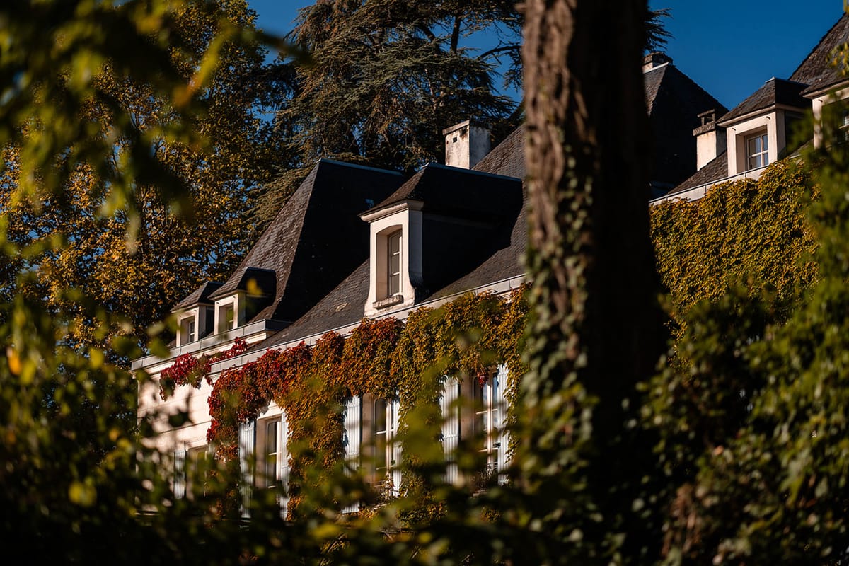 Cream chateau with slate mansard roof covered in autumn-colored climbing ivy framed by garden foliage