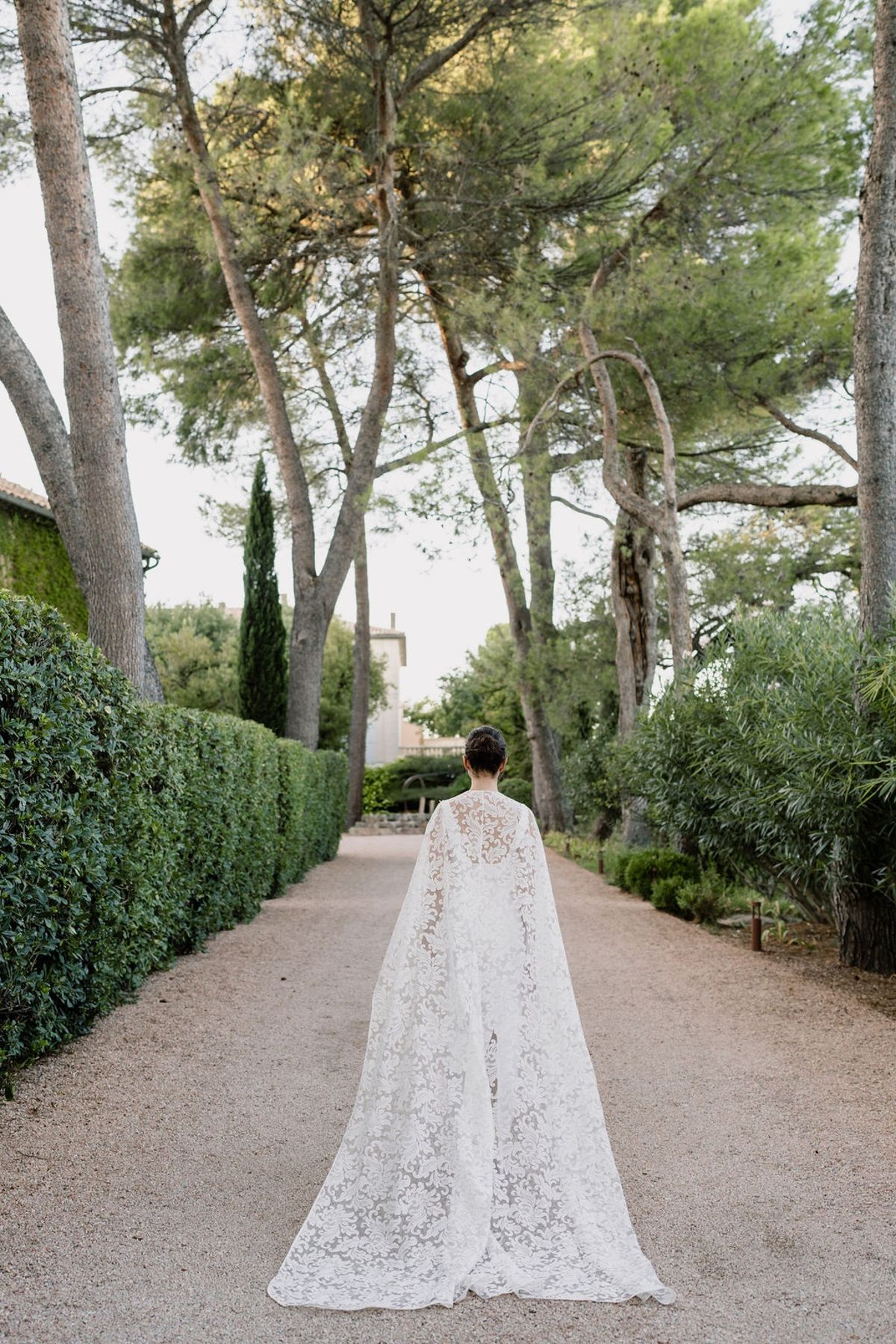 Bride from behind in lace cape on gravel allee lined with hedges and pines