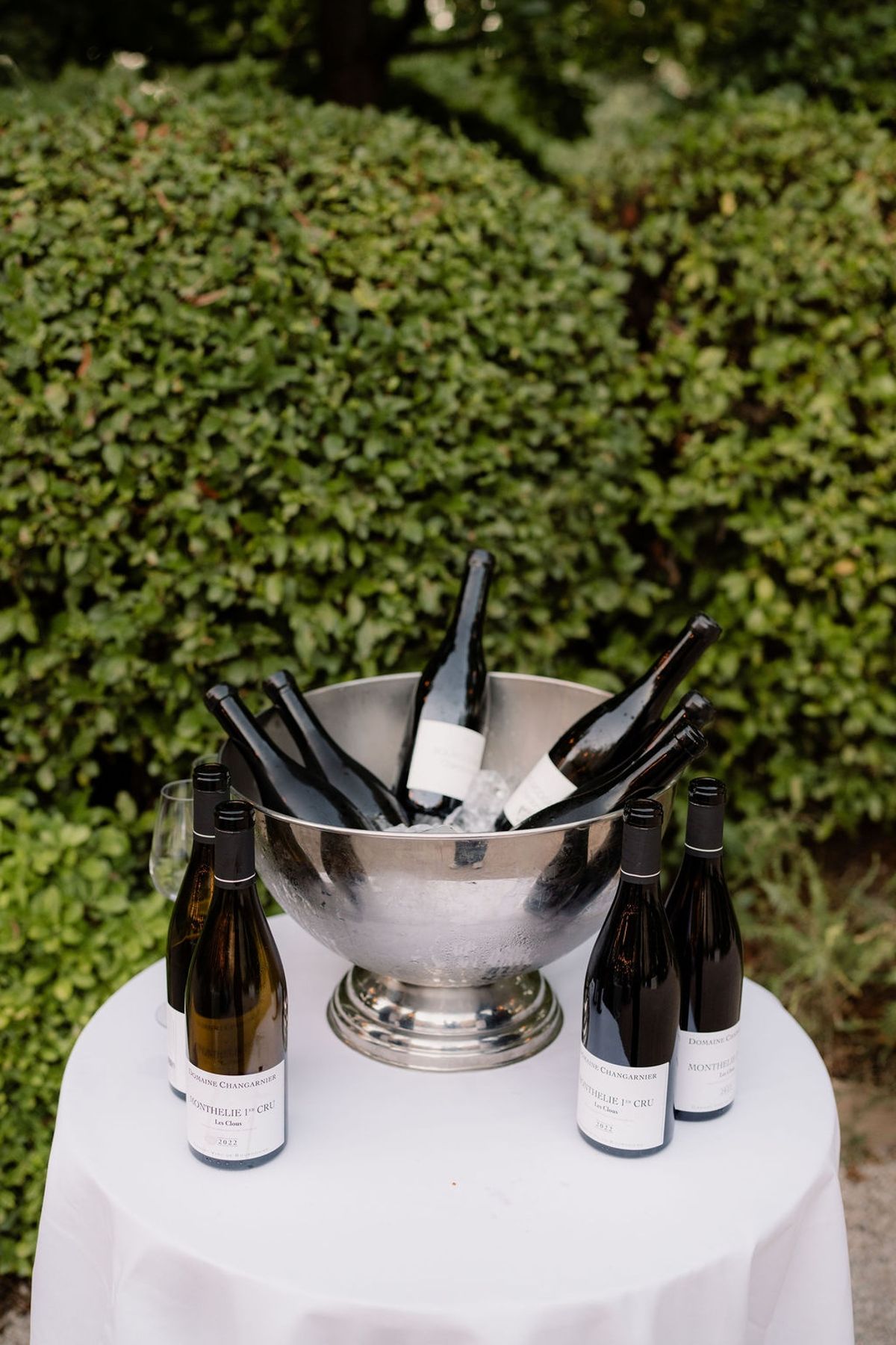 Silver wine cooler with dark bottles on ice against clipped boxwood hedge