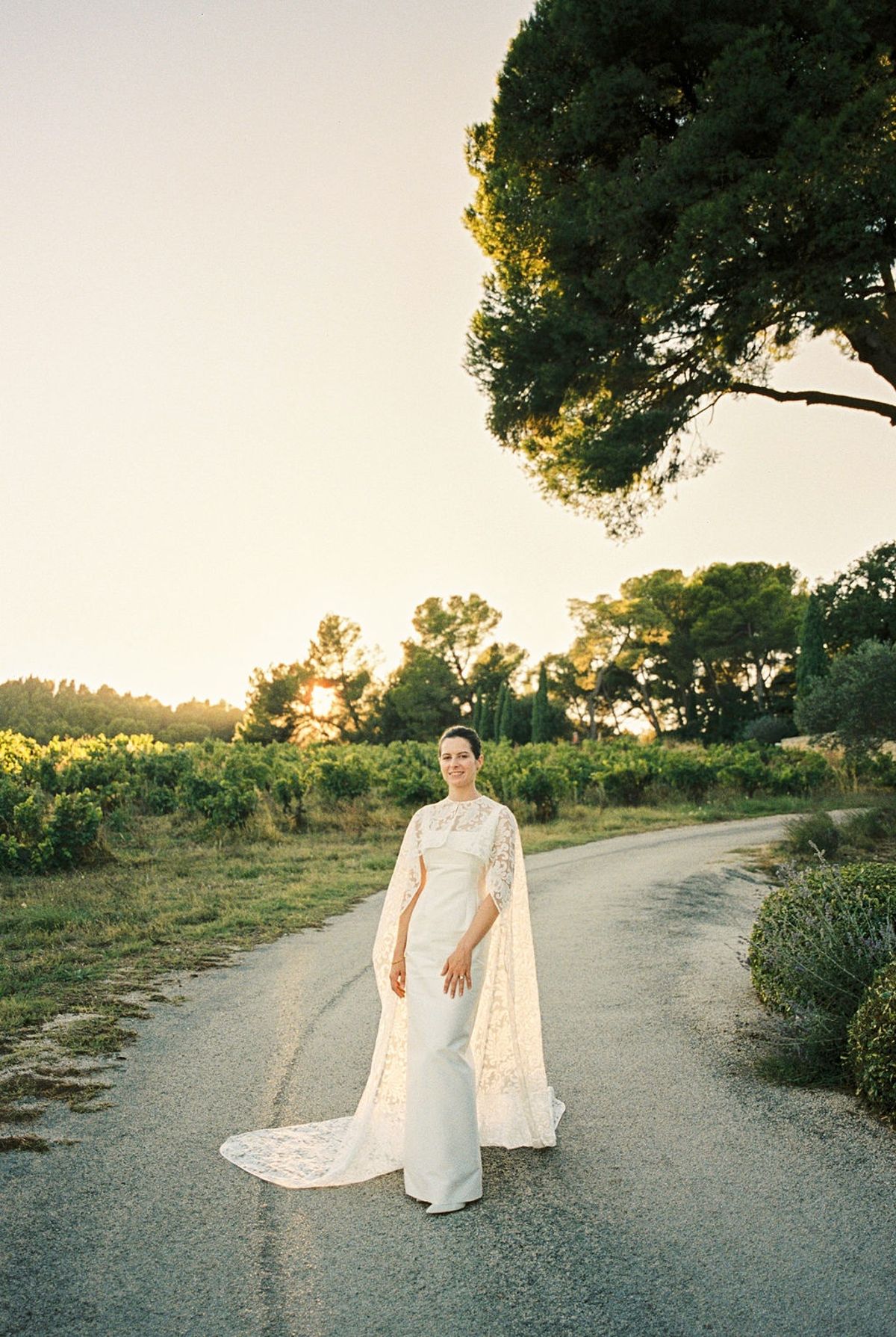 Bride at edge of country road through vineyards with golden sun through pines