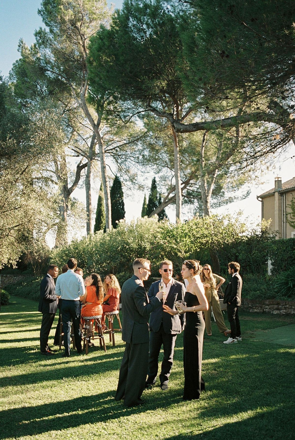 Guests in small clusters on chateau lawn with drinks under parasol pines in warm light