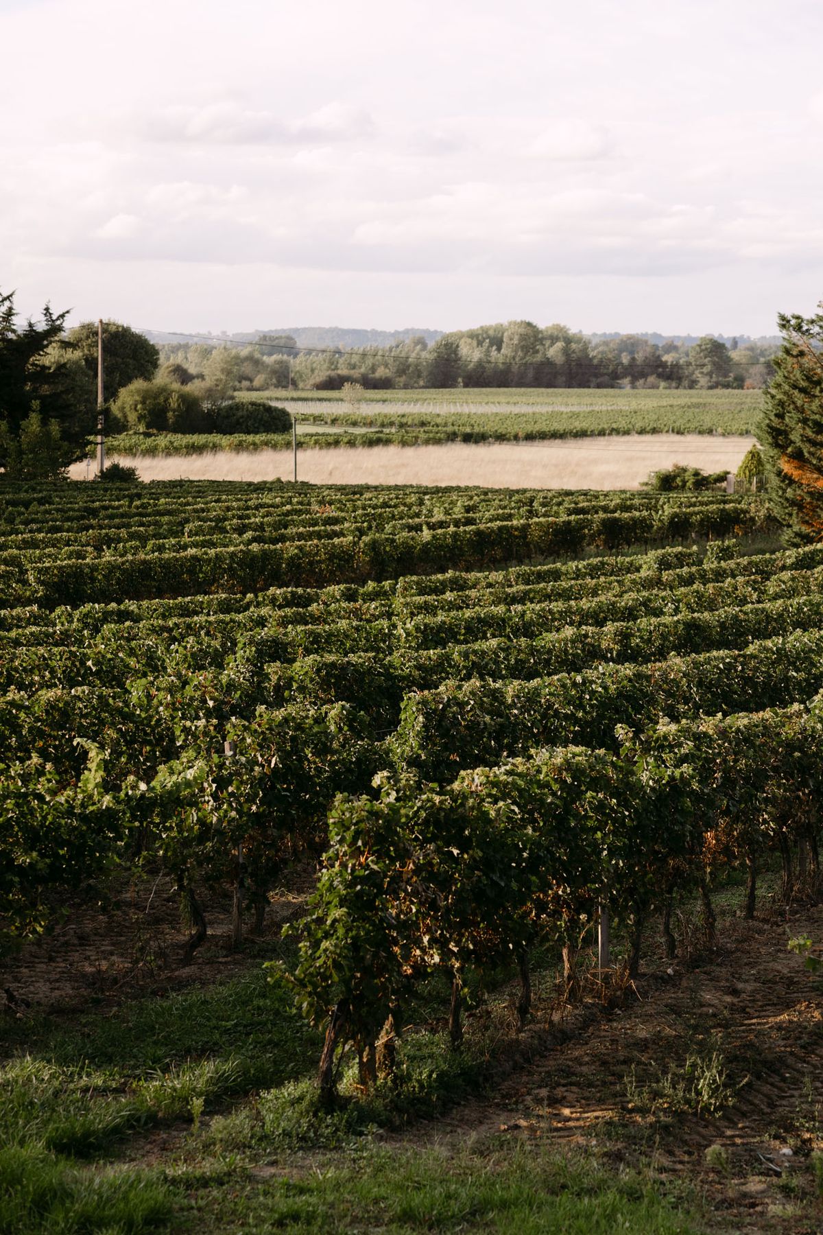 The Tuscan-style château and gardens of Domaine de Perrotin in the Dordogne, Nouvelle-Aquitaine, the setting for Rooa and Mark's wedding