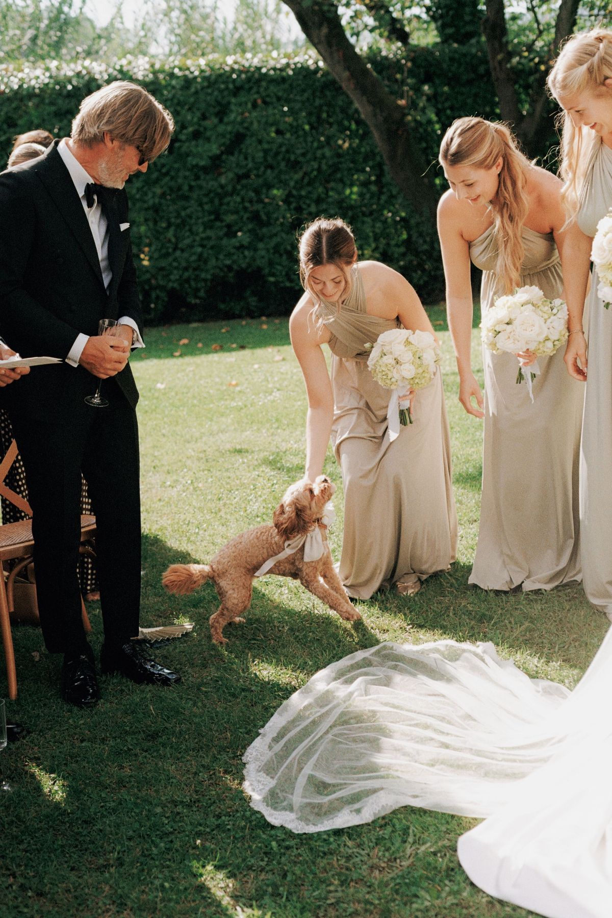 Bridesmaids in sage gowns greeting small dog in garden at wedding