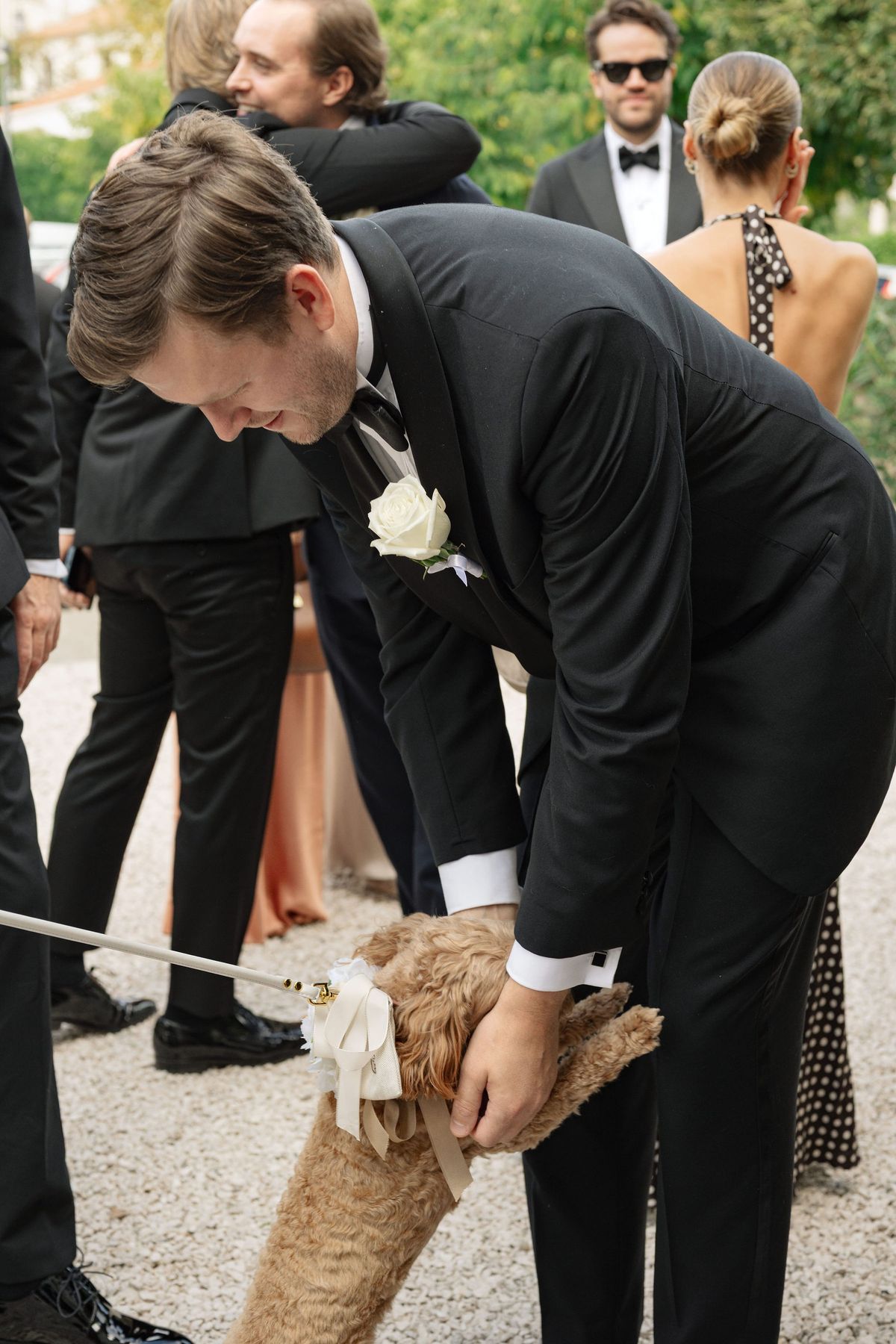 Guest in tuxedo leaning to greet small dog with cream ribbon