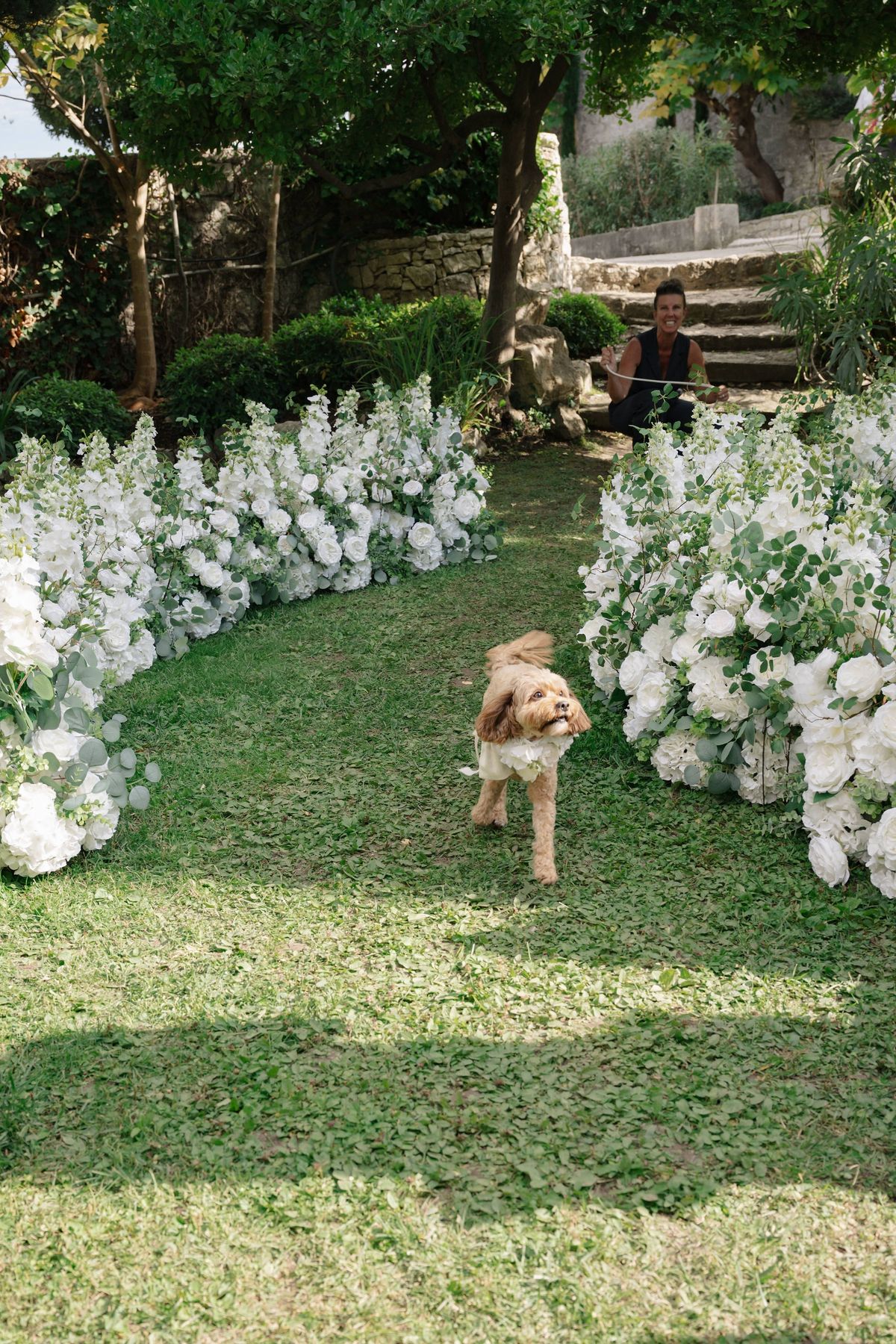 Small dog running down floral ceremony aisle at garden wedding