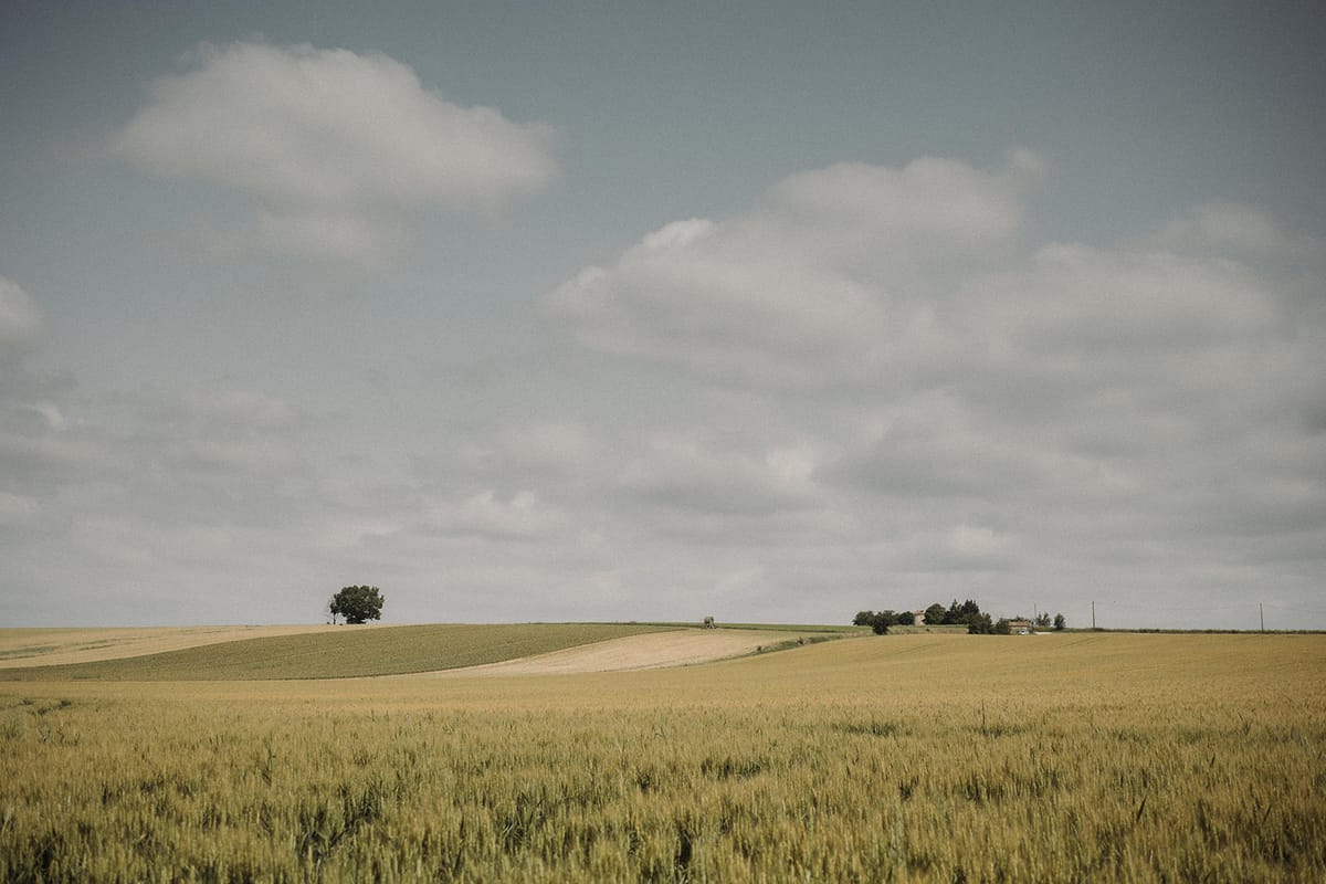 Rolling golden wheat and green crop fields with distant farmstead under cloudy sky in rural French countryside