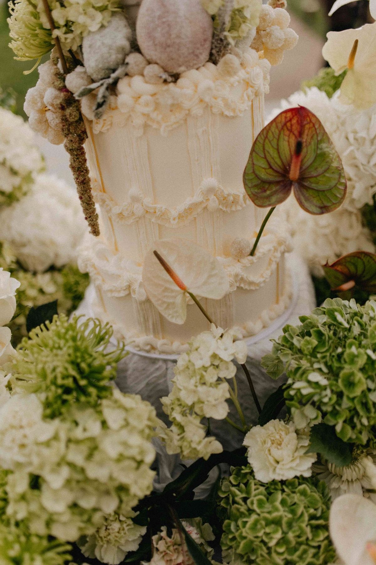 Side-light close up of a piped tiered cake with sugared fruit and amaranthus