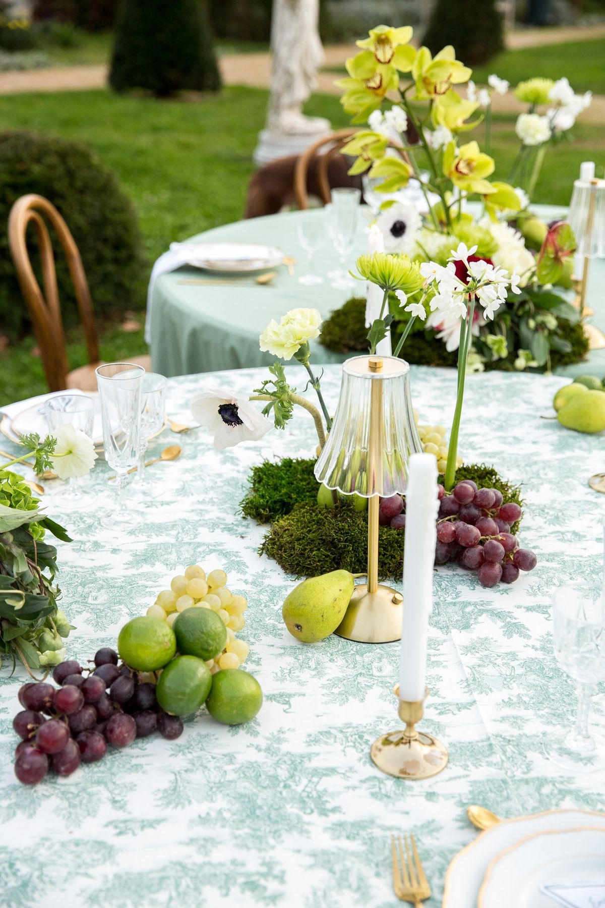 Tablescape with green orchids, glass lamp, moss runner, grapes and limes on a toile cloth