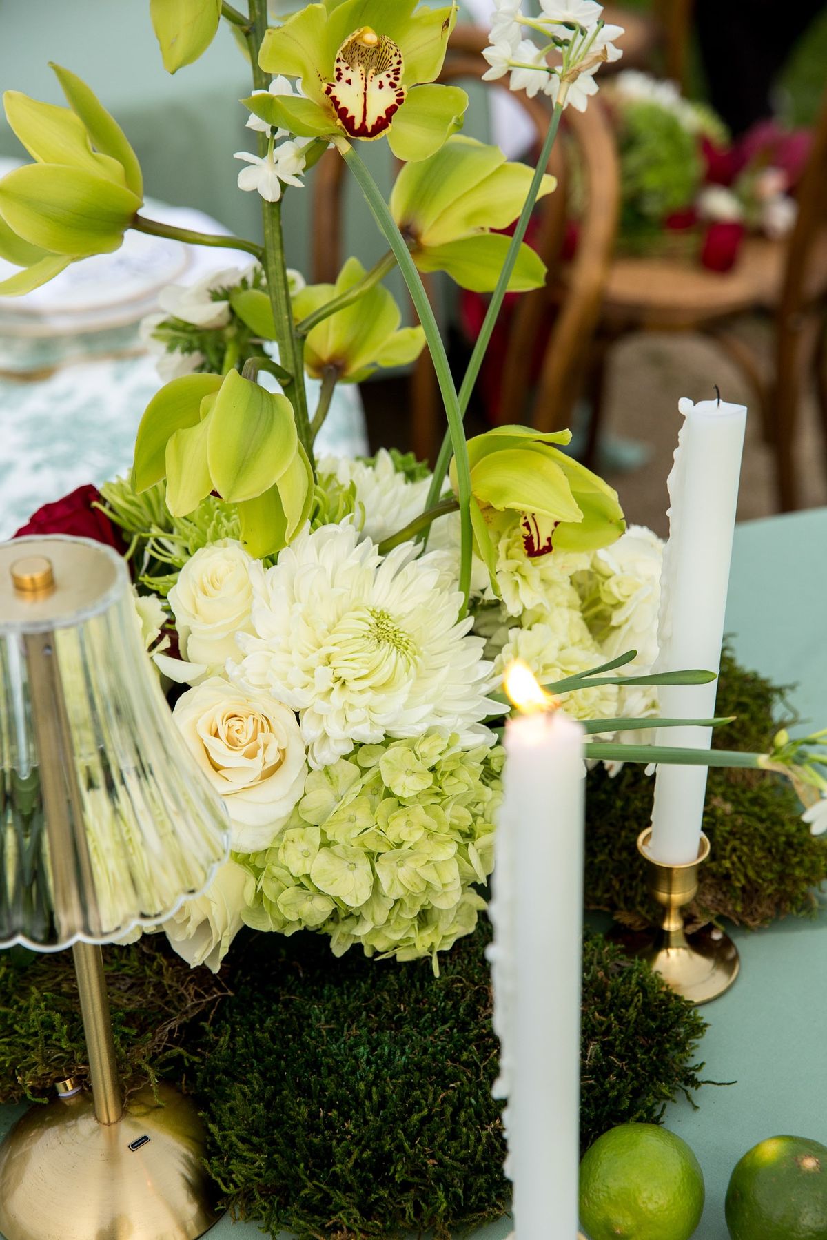 Close detail of single anemone, green chrysanthemums and moss runner with grapes behind