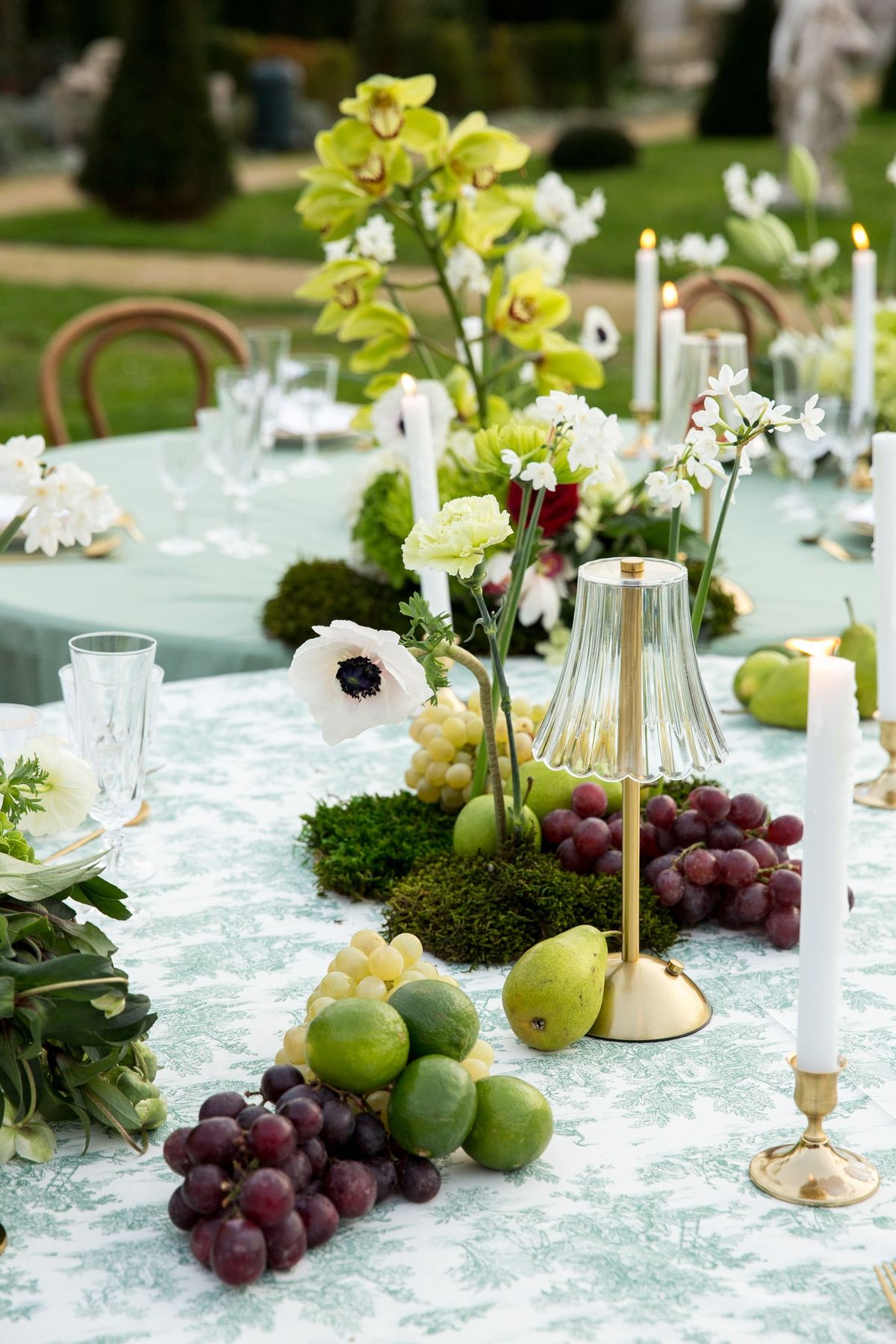 Green cymbidium orchids stretching up from a moss-clad centerpiece on a toile cloth