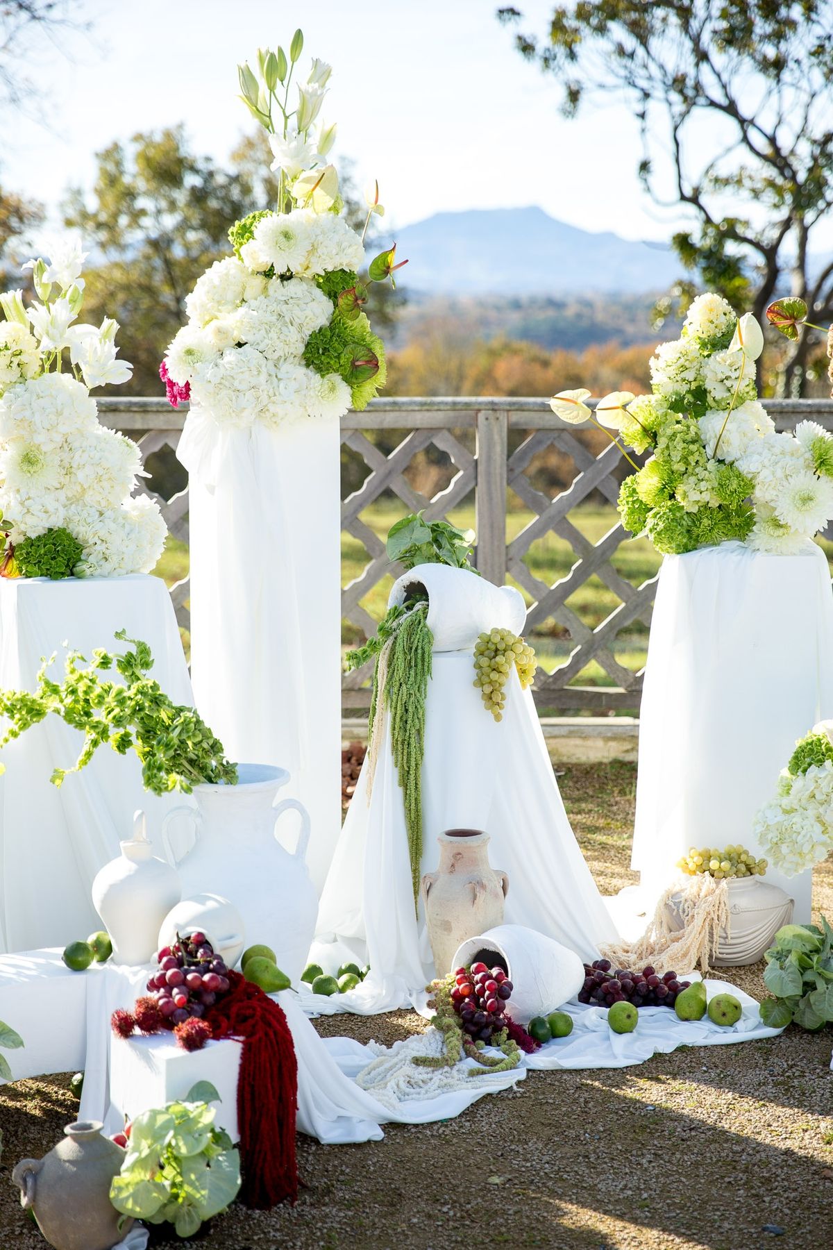 Ceremony backdrop framed by the Pyrenees, white plinths with hydrangeas and grapes at base