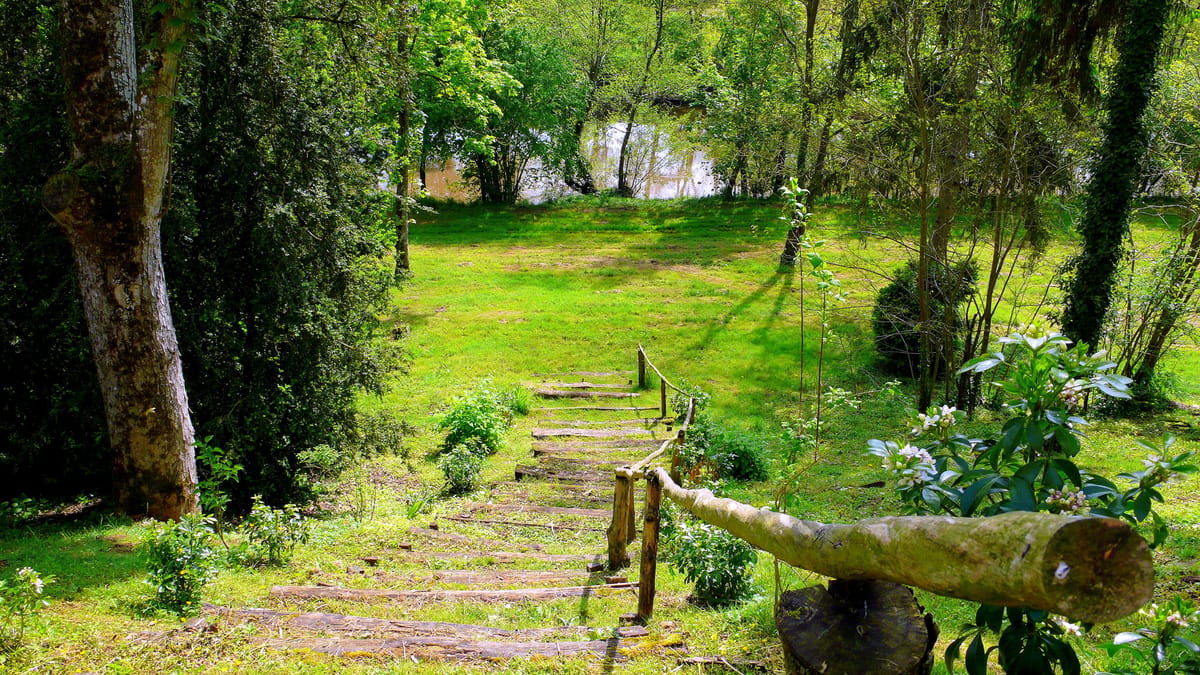 This wide-shot image shows the outdoor grounds of what appears to be a French country venue, featuring a rustic wooden log staircase with timber post handrails descending through a wooded garden area toward an open lawn and a body of water visible in the background. No people, couple, or wedding activity are present in the frame. The setting has a naturalistic, informal character with flowering shrubs visible on the right side. This image appears to be a venue grounds shot rather than a wedding photograph. Potential venue feature image.